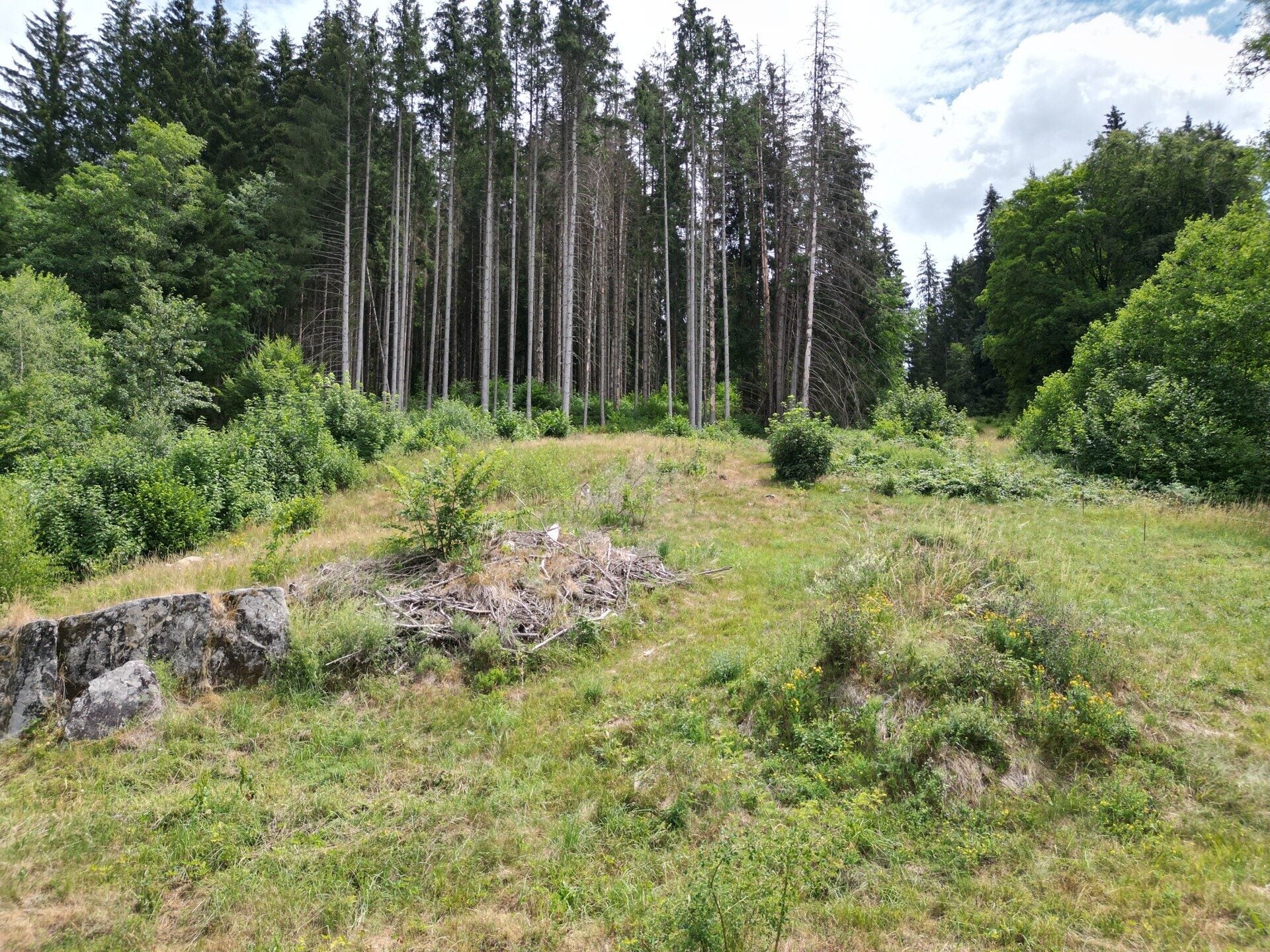 Immobilienangebot - Sankt Blasien - Alle - Ein besonderes Plätzle im Schwarzwald.
Zwei Flurstücke mit 5.277 m². Ihr Wohn-
traum kann starten.