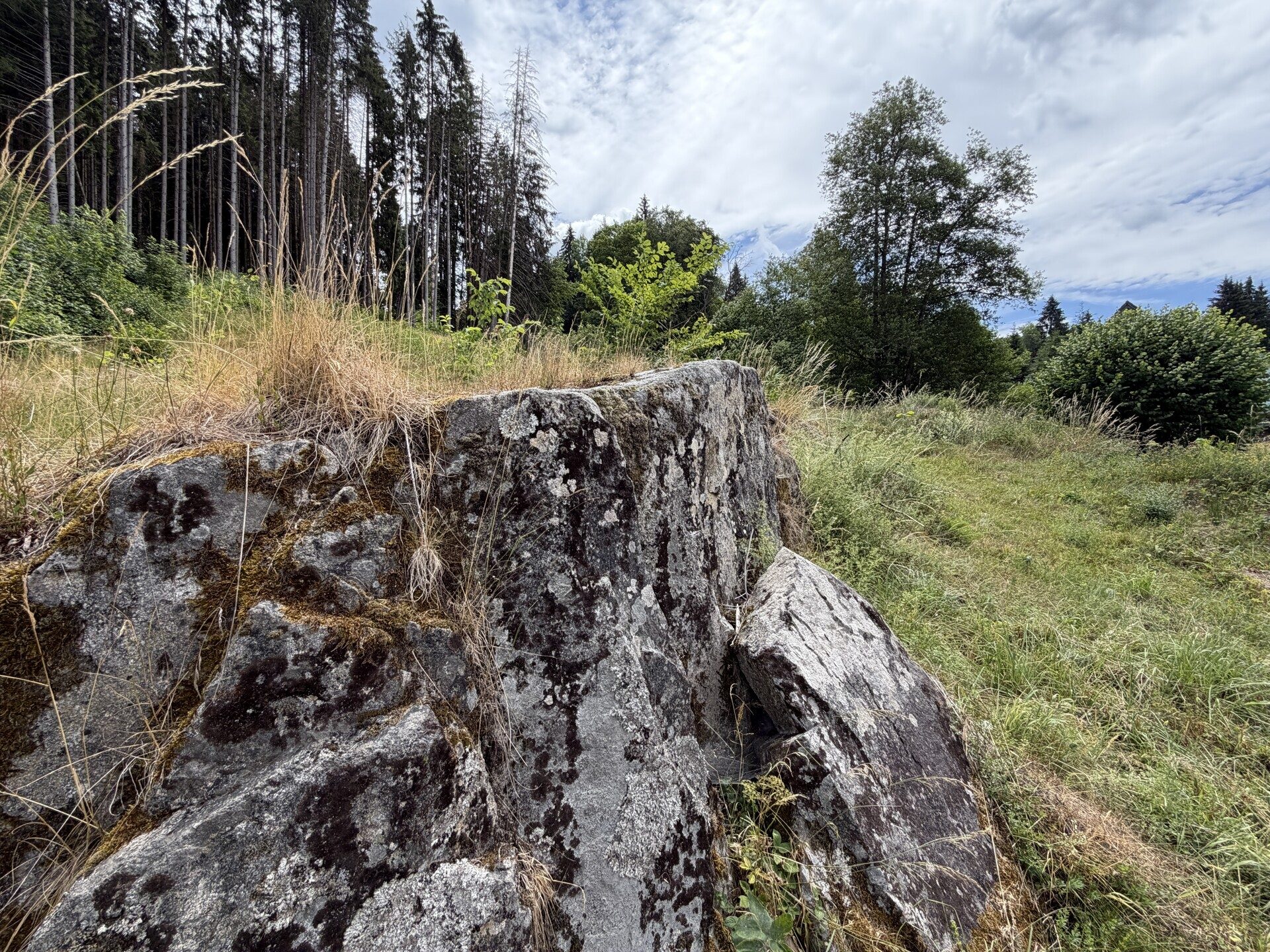 Immobilienangebot - Sankt Blasien - Alle - Ein besonderes Plätzle im Schwarzwald.
Zwei Flurstücke mit 5.277 m². Ihr Wohn-
traum kann starten.