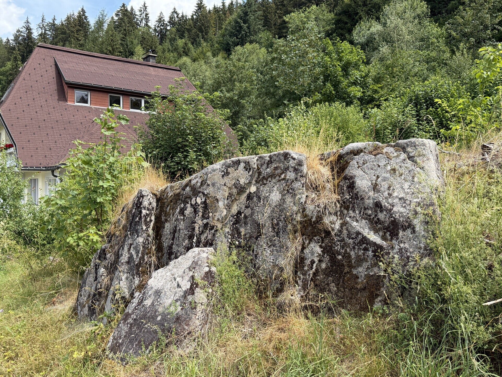 Immobilienangebot - Sankt Blasien - Alle - Ein besonderes Plätzle im Schwarzwald.
Zwei Flurstücke mit 5.277 m². Ihr Wohn-
traum kann starten.