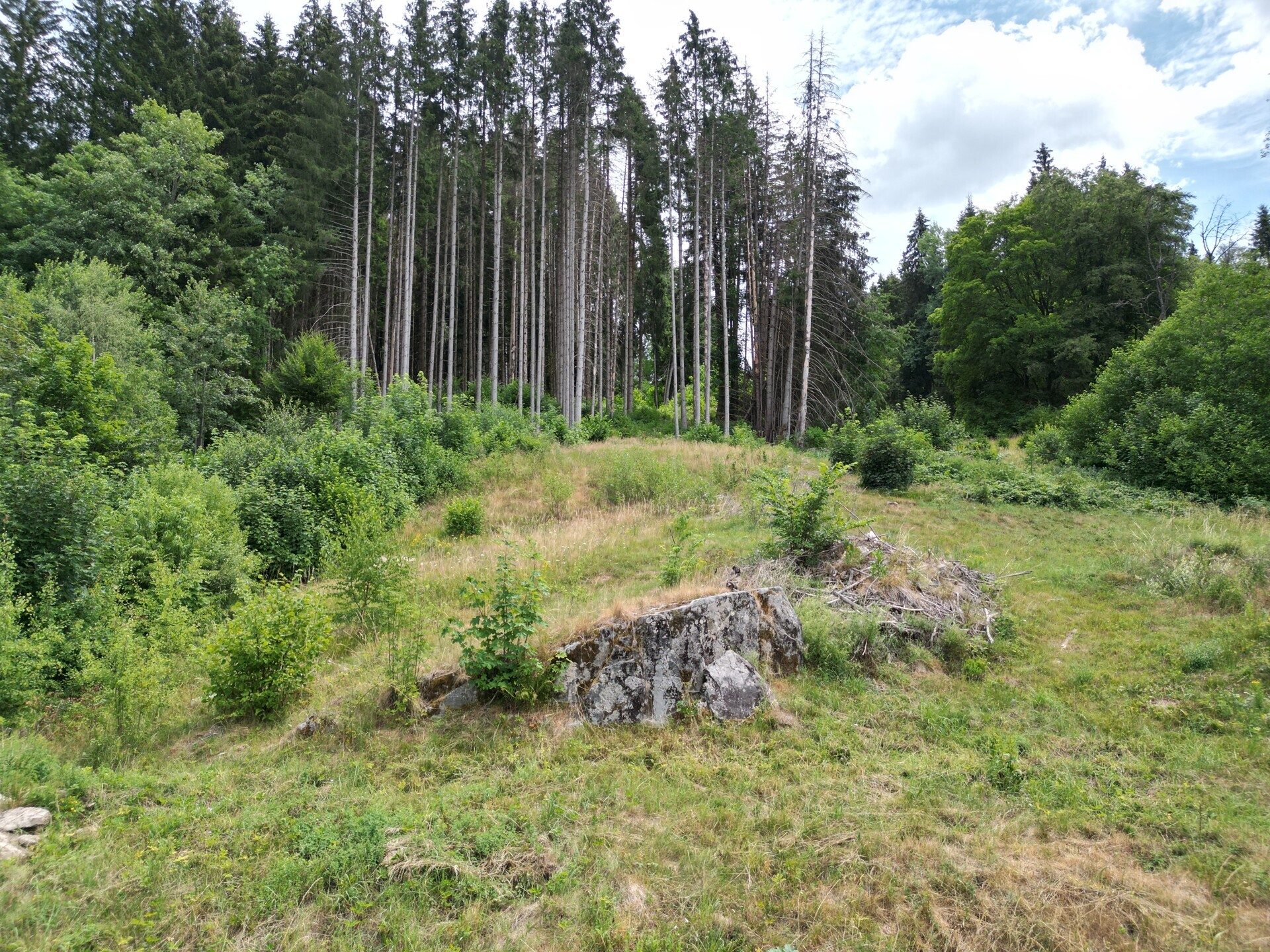 Immobilienangebot - Sankt Blasien - Alle - Ein besonderes Plätzle im Schwarzwald.
Zwei Flurstücke mit 5.277 m². Ihr Wohn-
traum kann starten.