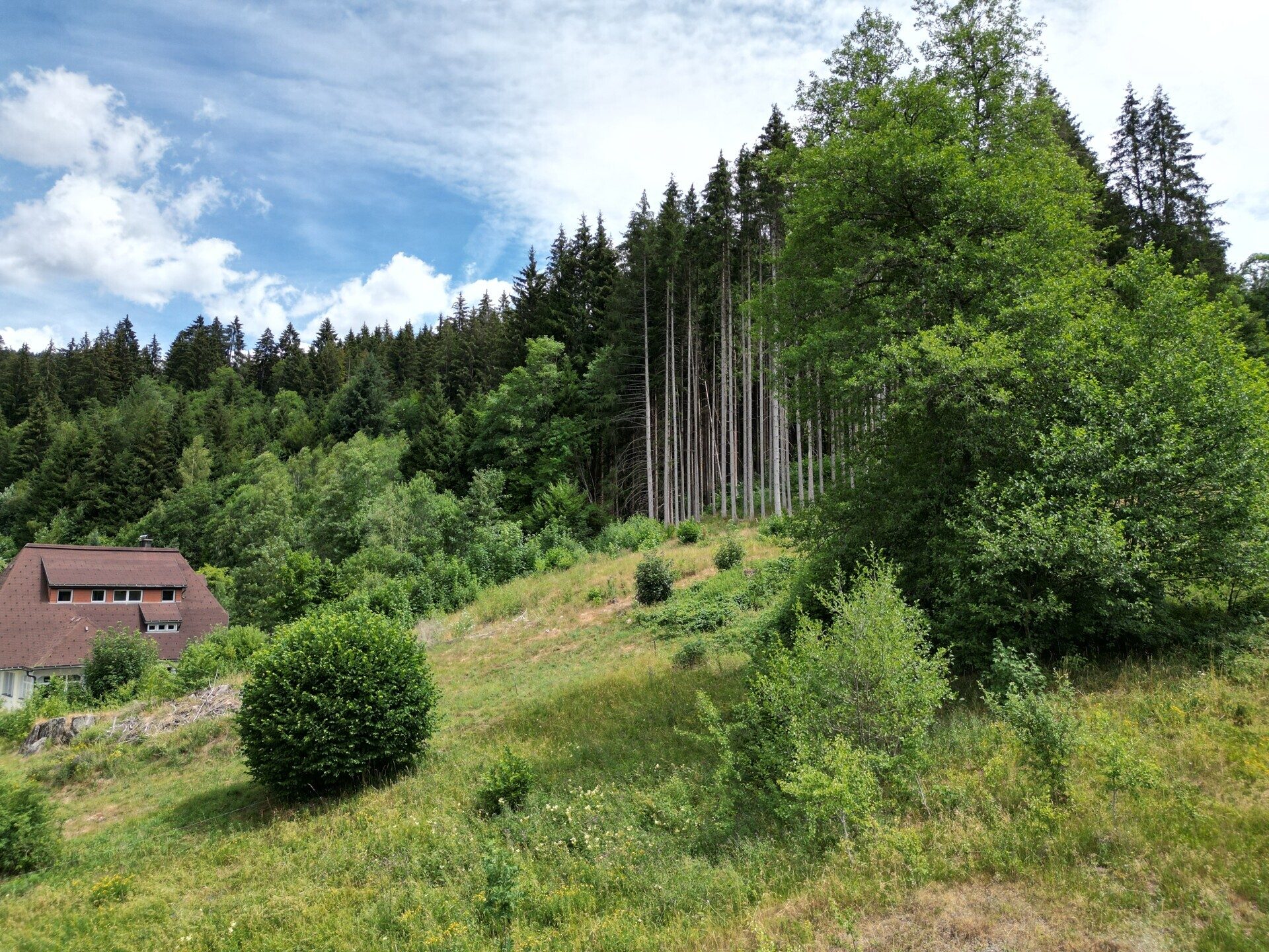 Immobilienangebot - Sankt Blasien - Alle - Ein besonderes Plätzle im Schwarzwald.
Zwei Flurstücke mit 5.277 m². Ihr Wohn-
traum kann starten.