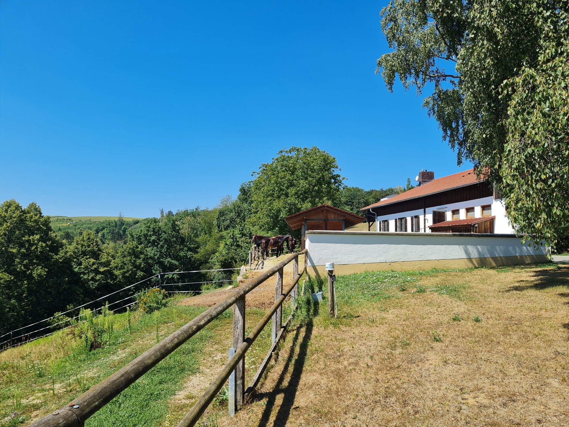 Immobilienangebot - Neukirchen vorm Wald - Alle - Einzigartiger Gutshof mit Villa, Chalets, Reithalle, Hotel, Stallungen auf ca. 25 ha. in Alleinlage