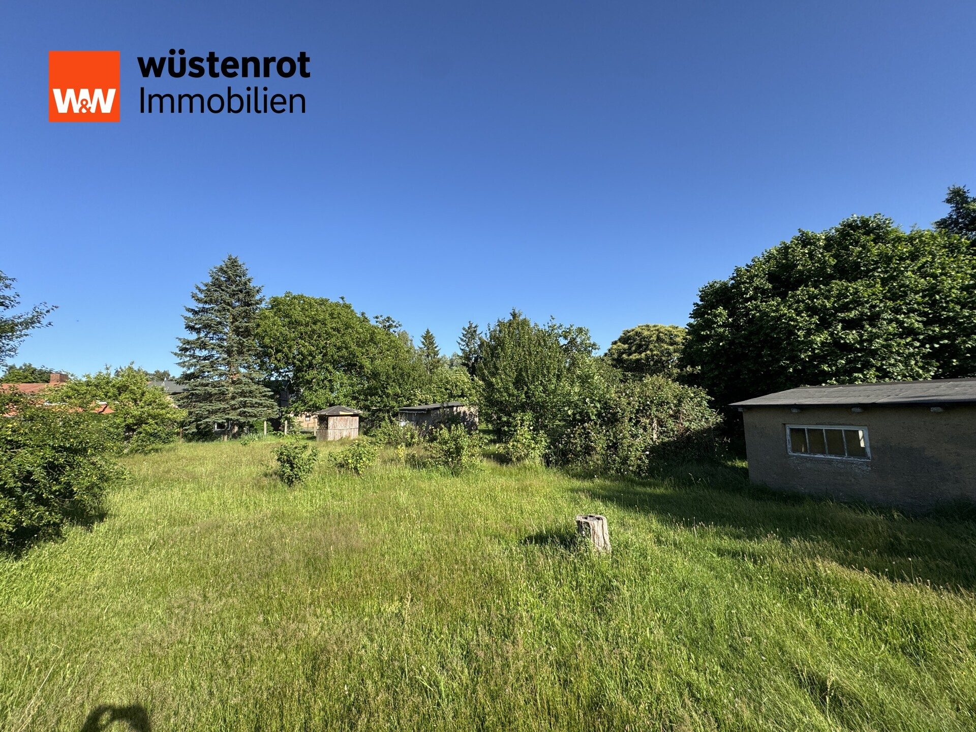 Immobilienangebot - Behrenhoff / Müssow - Alle - Viel Platz für Ihre Zukunft – Landhaus mit großem Selbstversorgergrundstück und Ausbaupotenzial