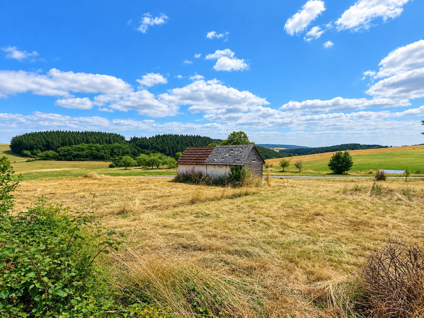 Immobilienangebot - Bollenbach - Alle - Viel Platz für Ihr Traumhaus – 1.608 m² Baugrundstück in Bollenbach