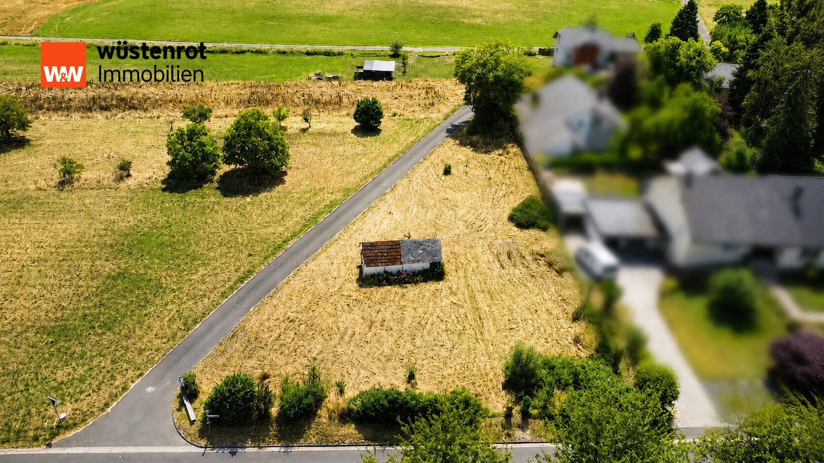 Immobilienangebot - Bollenbach - Alle - Viel Platz für Ihr Traumhaus – 1.608 m² Baugrundstück in Bollenbach