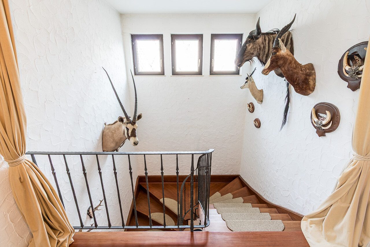 Immobilienangebot - Hermeskeil - Alle - Großzügig wohnen und vielseitig arbeiten – Anwesen mit Garten und vermieteter Praxisfläche
