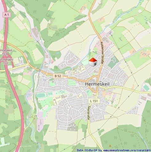 Immobilienangebot - Hermeskeil - Alle - Großzügig wohnen und vielseitig arbeiten – Anwesen mit Garten und vermieteter Praxisfläche
