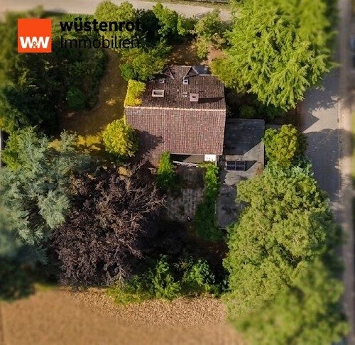 Immobilienangebot - Bohmte - Alle - Großzügiges Einfamilienhaus mit besonderem Charme, viel Platz und idyllischem Garten