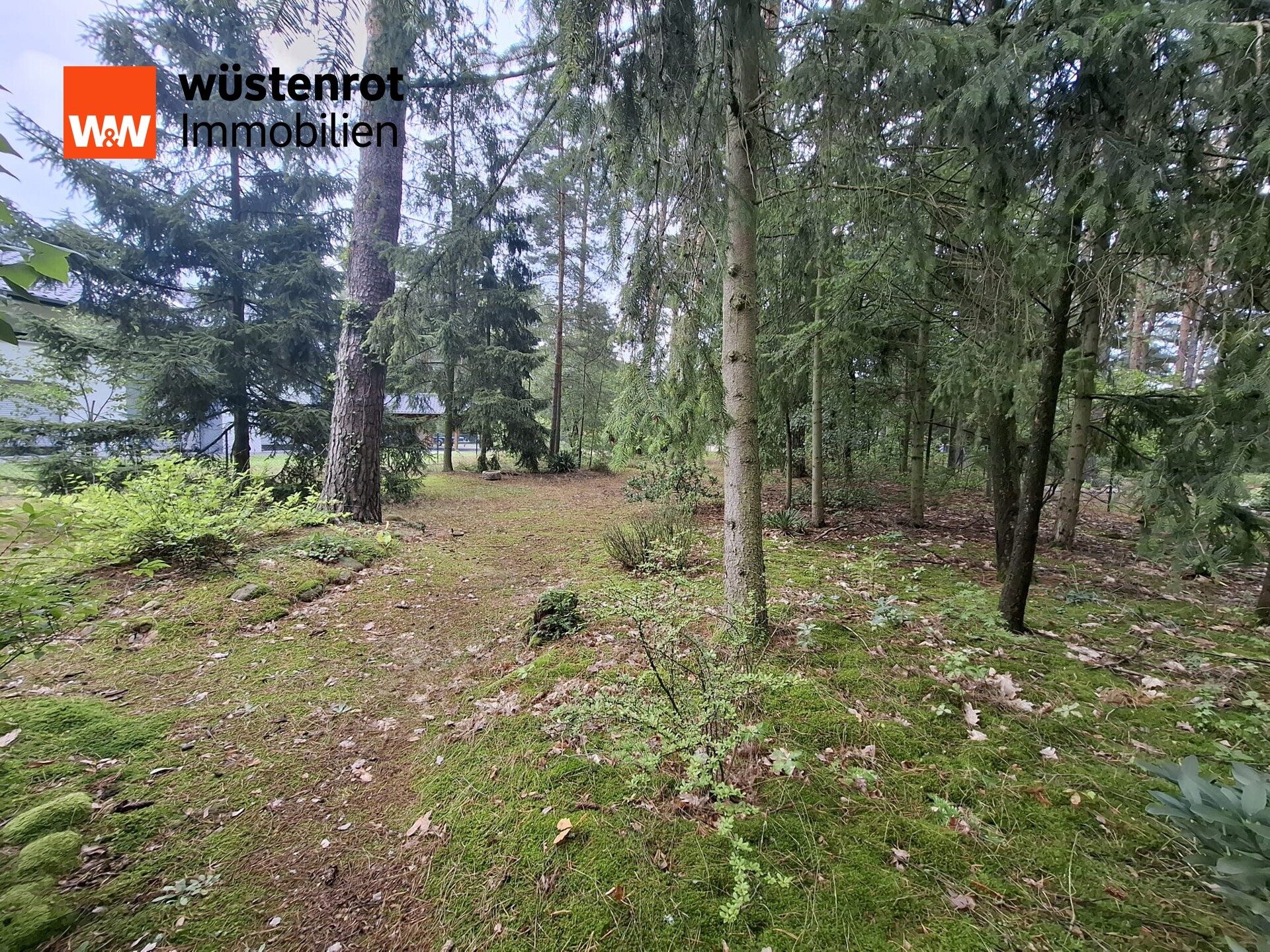 Immobilienangebot - Beelitz / Fichtenwalde - Alle - Teilbare 1603 m² Bauland im beliebten Fichtenwalde! Wir suchen 2 Familien die Eigenheimträume haben