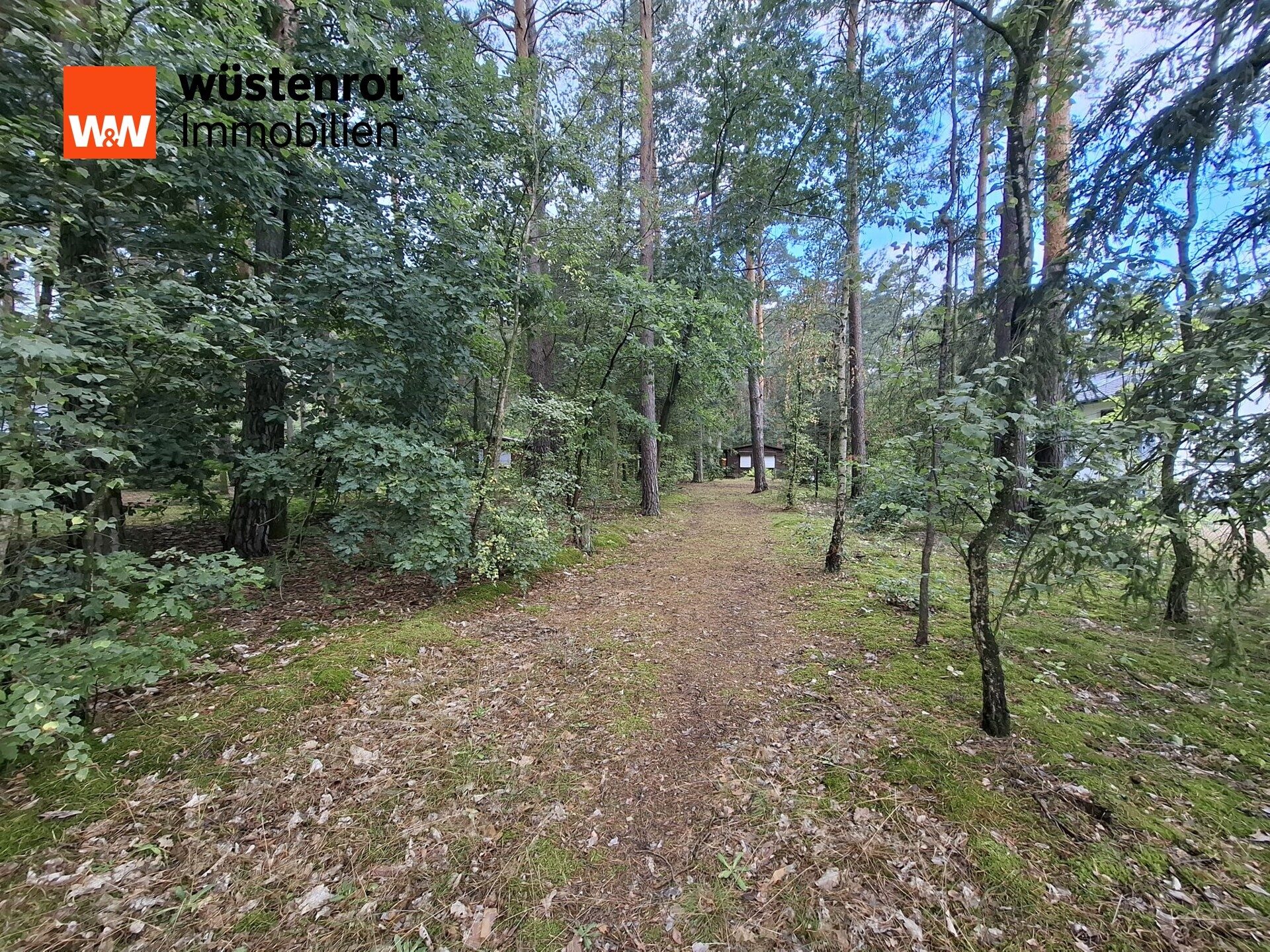 Immobilienangebot - Beelitz / Fichtenwalde - Alle - Teilbare 1603 m² Bauland im beliebten Fichtenwalde! Wir suchen 2 Familien die Eigenheimträume haben