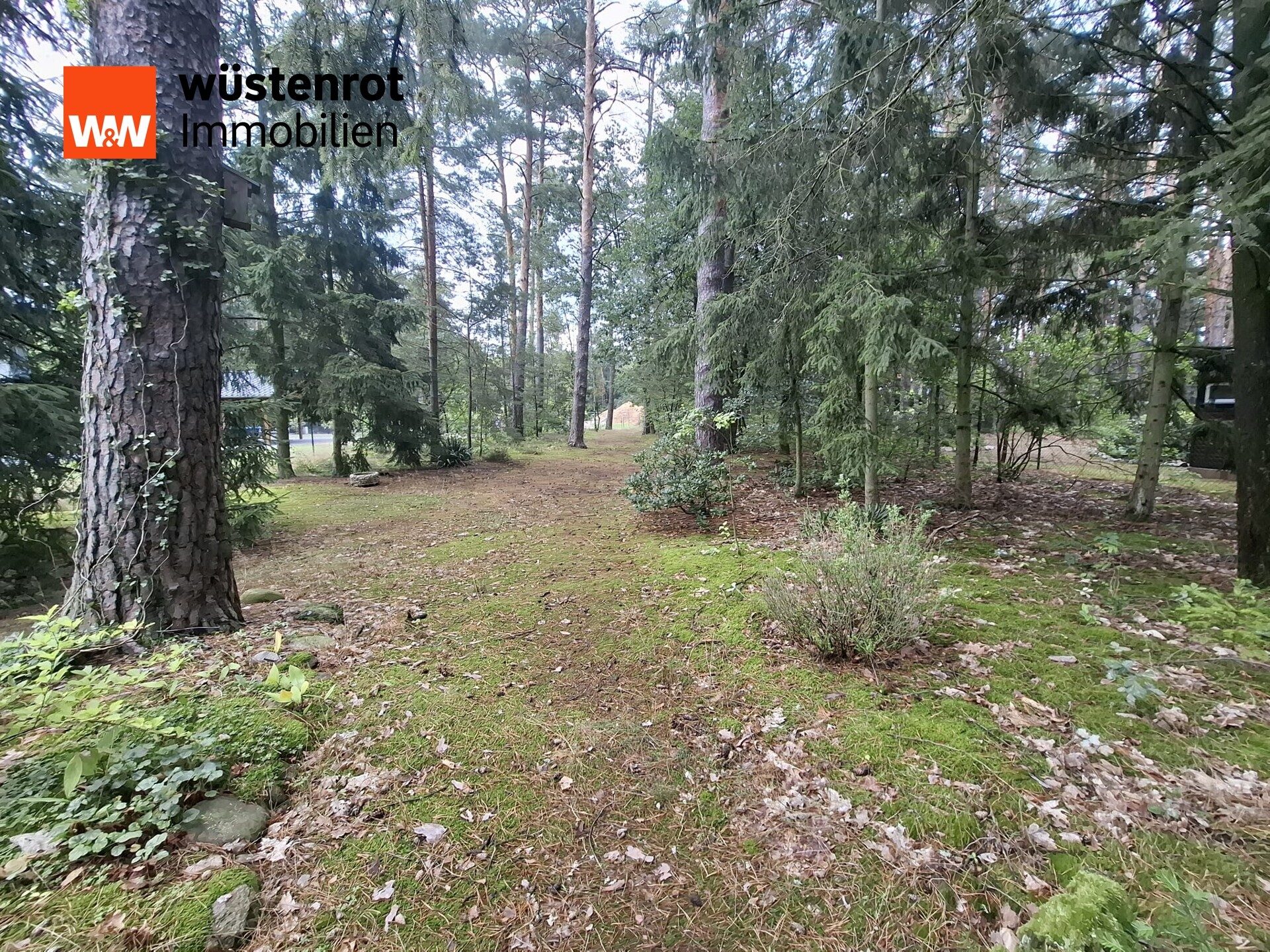 Immobilienangebot - Beelitz / Fichtenwalde - Alle - Teilbare 1603 m² Bauland im beliebten Fichtenwalde! Wir suchen 2 Familien die Eigenheimträume haben