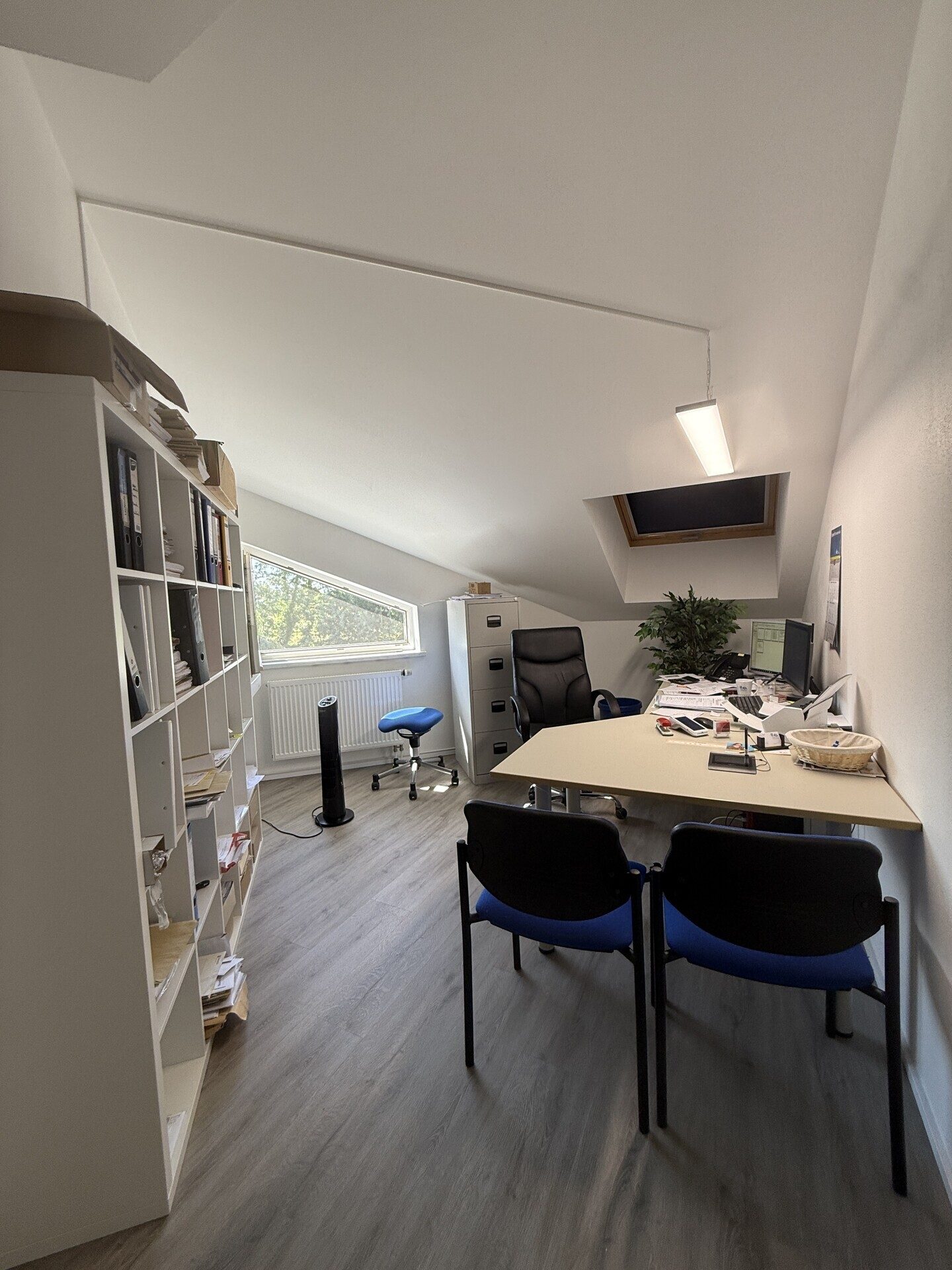 Immobilienangebot - Haßloch - Alle - Wohn- und Geschäftshaus mit 2 WE, 3 Gewerbeeinheiten, 5 Garagen und 12 Stellplätzen in Haßloch