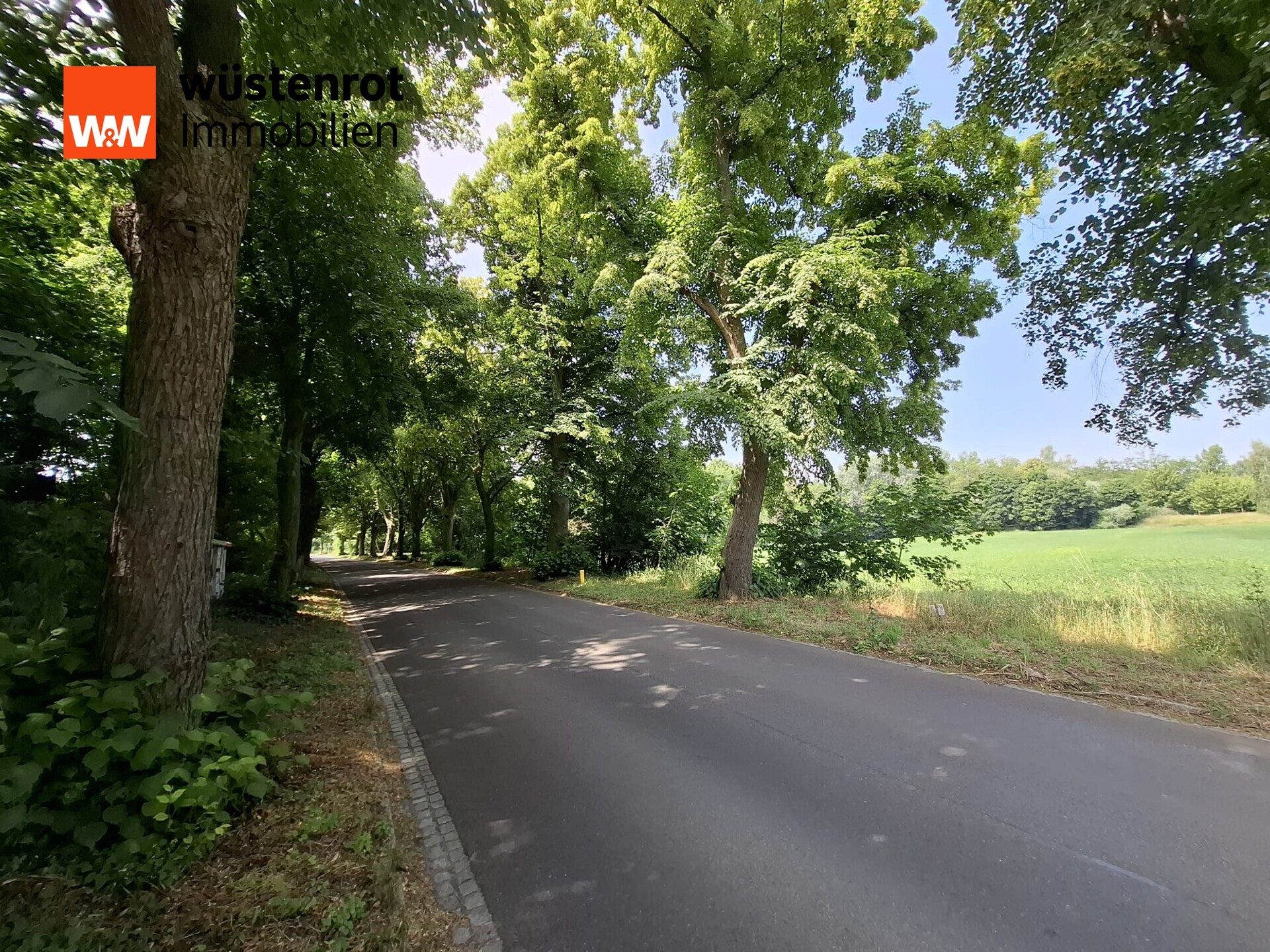 Immobilienangebot - Mellensee - Alle - "Naturnahes Baugrundstück am Mellensee – verwirklichen Sie hier Ihren Traum vom eigenen Zuhause"