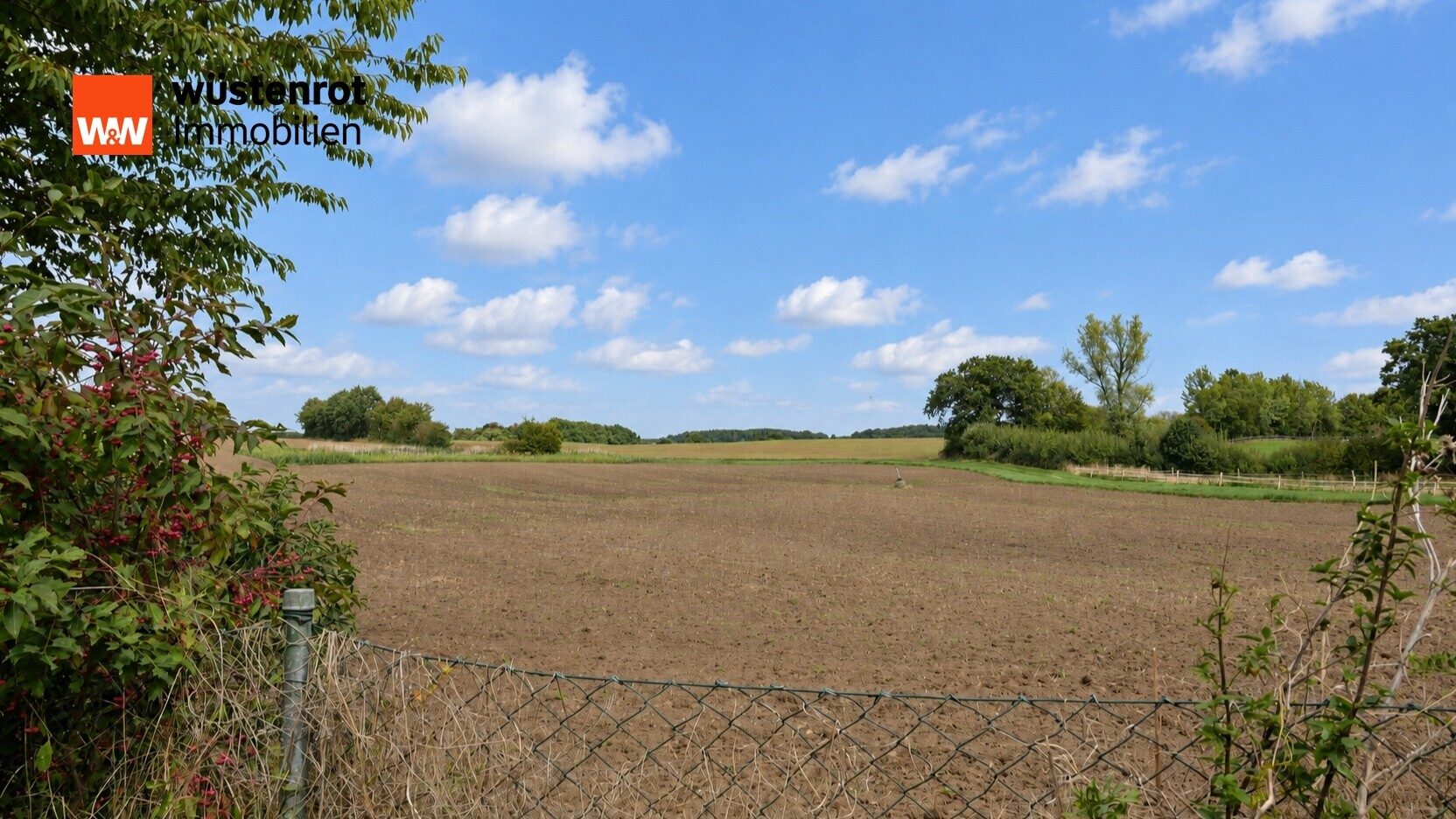 Immobilienangebot - Schönkirchen / Flüggendorf - Alle - Feldrandlage und traumhafter Ausblick - Charmantes EFH in Flüggendorf