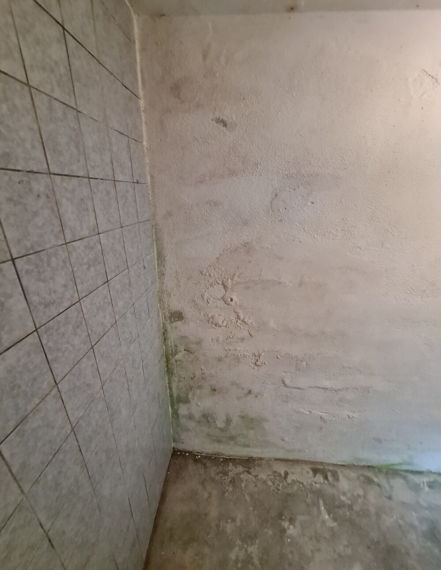 Immobilienangebot - Lam - Alle - Schnäppchen für Handwerker oder Investoren!
Sonniges, renovierungsbedürftiges EFH in schöner Lage.