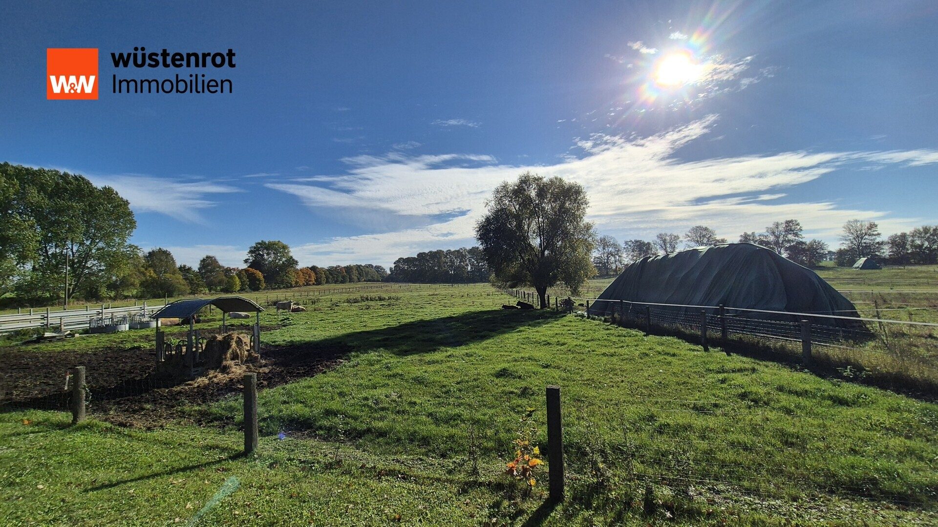Immobilienangebot - Brenz / Alt Brenz - Alle - Hocheffizientes EFH mit viel Land Bürogebäude und Doppelgarage in perfekter Randlage von Alt Brenz