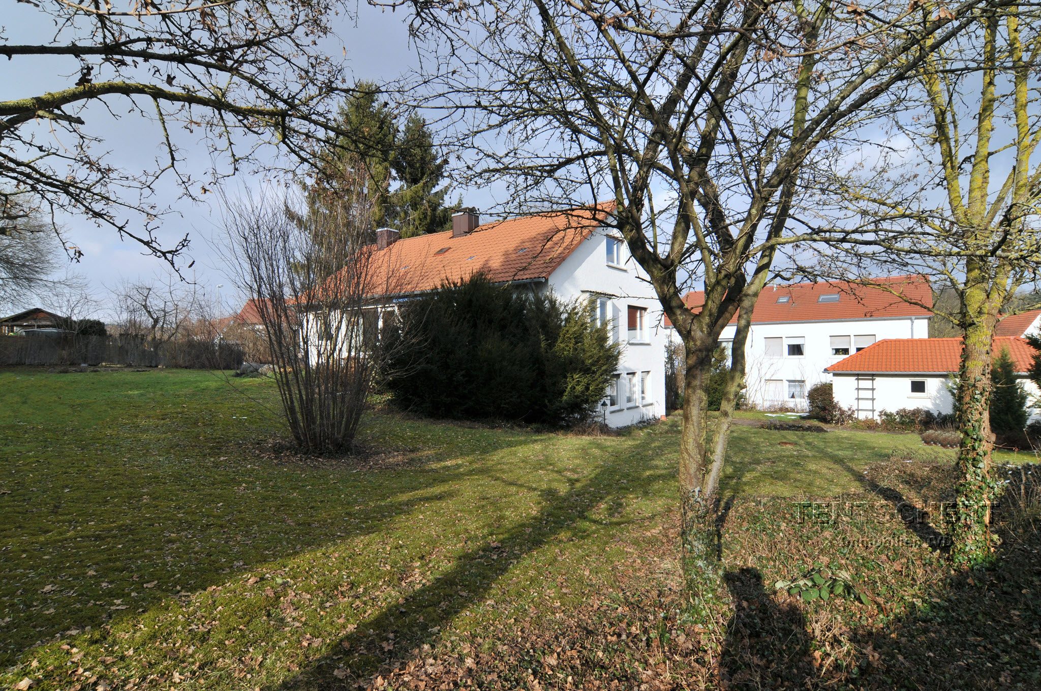 Tentschert Immobilien GmbH & Co. KG - Immobilienangebot - 89075 Ulm - Eselsberg - Einfamilienhaus mit Einliegerwohnung - 1.279 m² uneinsehbares Grundstück zum Träumen und Entspannen - Münsterblick inklusive!!!