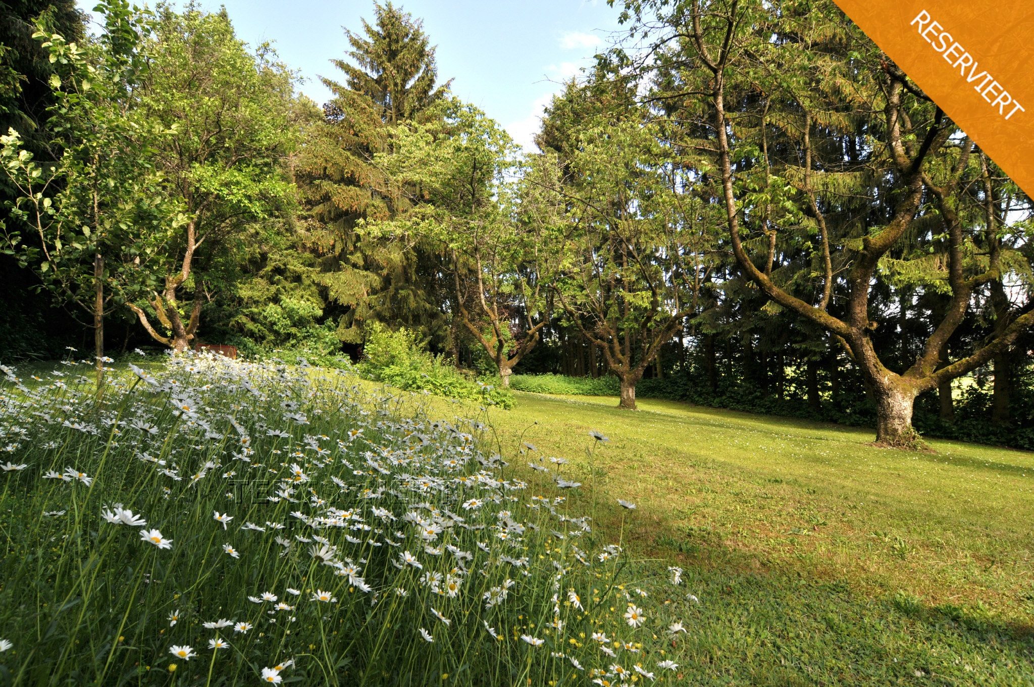 Tentschert Immobilien GmbH & Co. KG - Immobilienangebot - 89081 Ulm - Ermingen - Baugrund für Freizeit - Eigene Wohlfühloase! Nehmen Sie sich eine Auszeit...