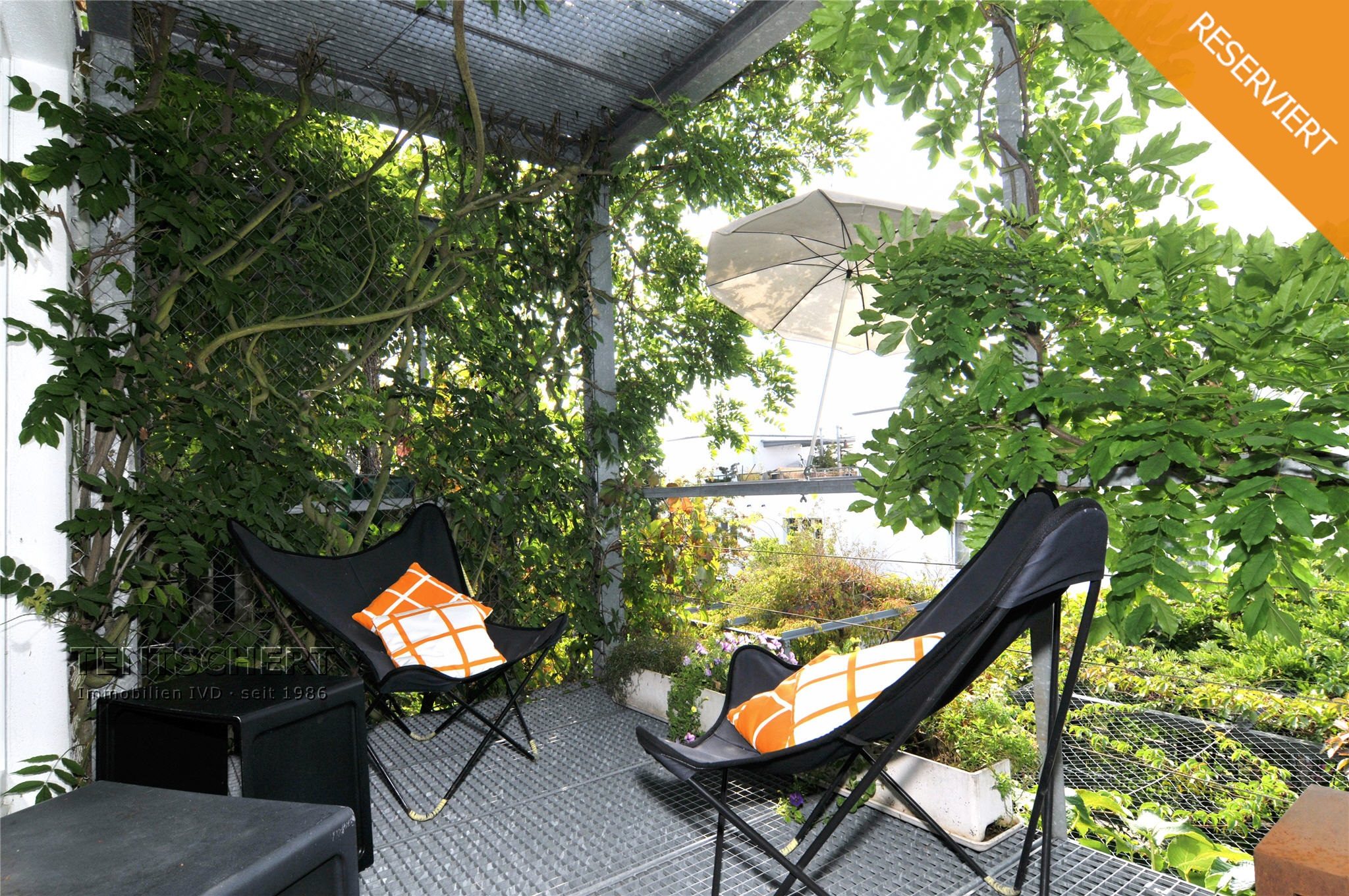 Tentschert Immobilien GmbH & Co. KG - Immobilienangebot - 89075 Ulm - Eselsberg - Reihenhaus - Reihenmittelhaus am Sonnenhang mit traumhafter Aussicht