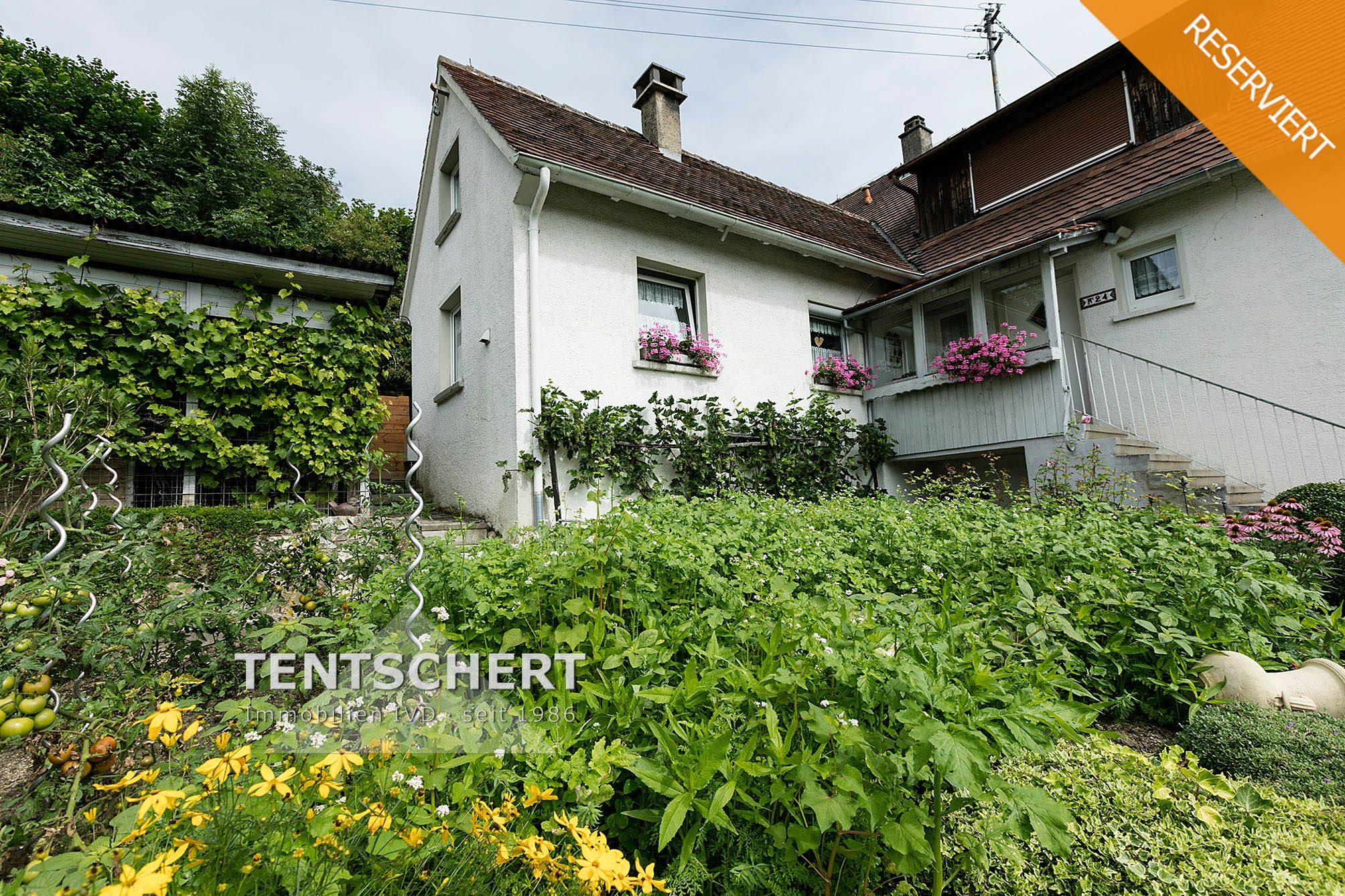 Tentschert Immobilien GmbH & Co. KG - Immobilienangebot - 89079 Ulm - Grimmelfingen - Zweifamilienhaus - Wohnen und Leben im Obstgarten - PROVISIONSFREI