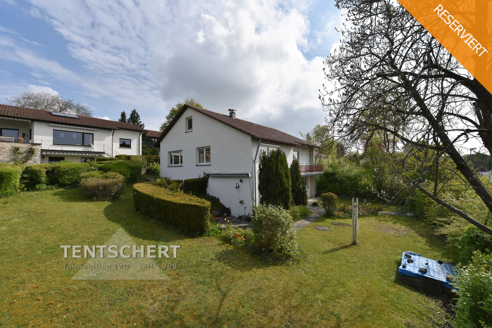 Tentschert Immobilien GmbH & Co. KG - Immobilienangebot - 89075 Ulm - Eselsberg - Einfamilienhaus mit Einliegerwohnung - Ihr neues Zuhause in gefragter Lage - PROVISIONSFREI