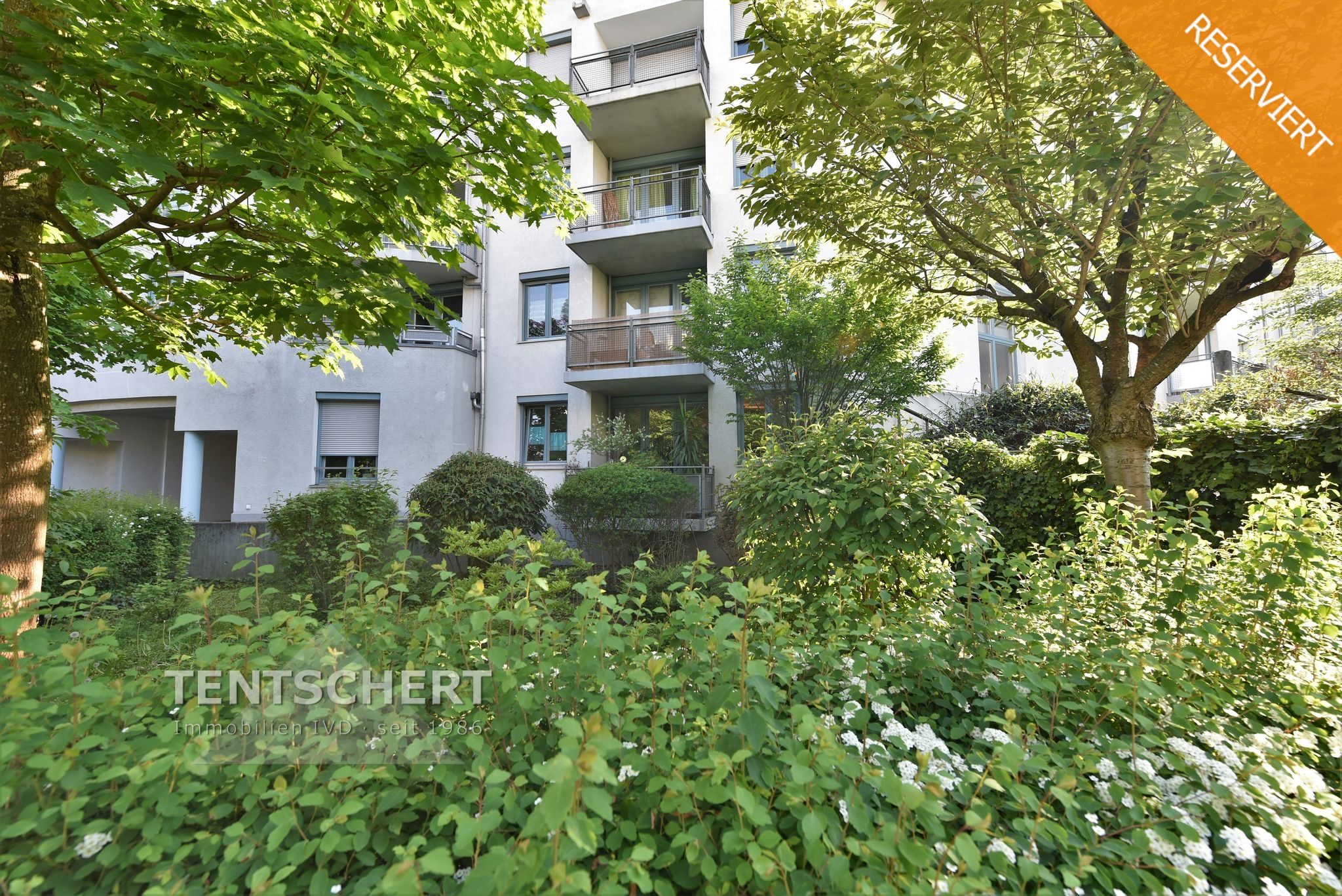 Tentschert Immobilien GmbH & Co. KG - Immobilienangebot - 89073 Ulm - Oststadt - Wohnungen - Single-Apartment in der beliebten Oststadt