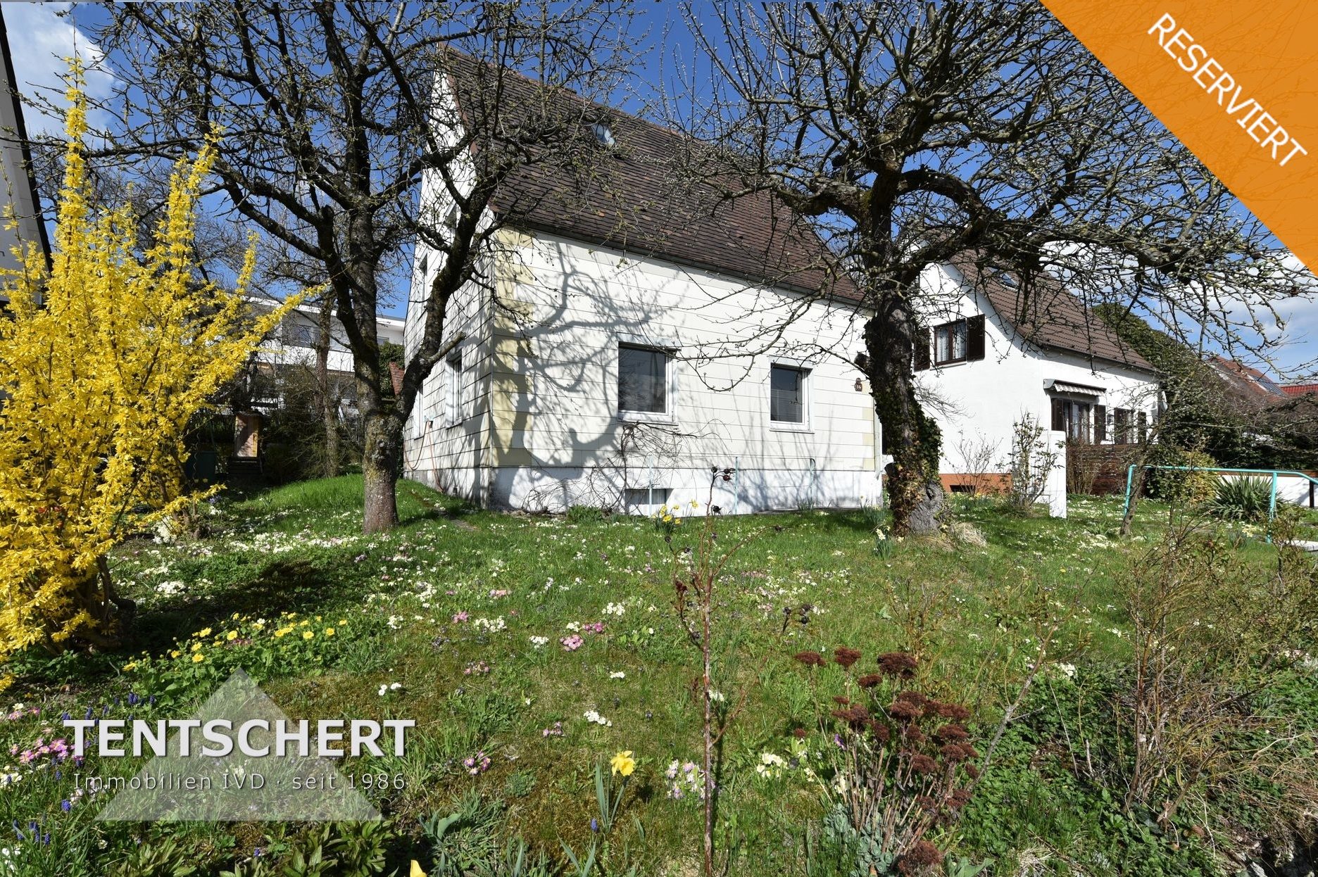Tentschert Immobilien GmbH & Co. KG - Immobilienangebot - 89075 Ulm - Safranberg - Einfamilienhaus - *** Begehrte Lage am Ulmer Safranberg ***