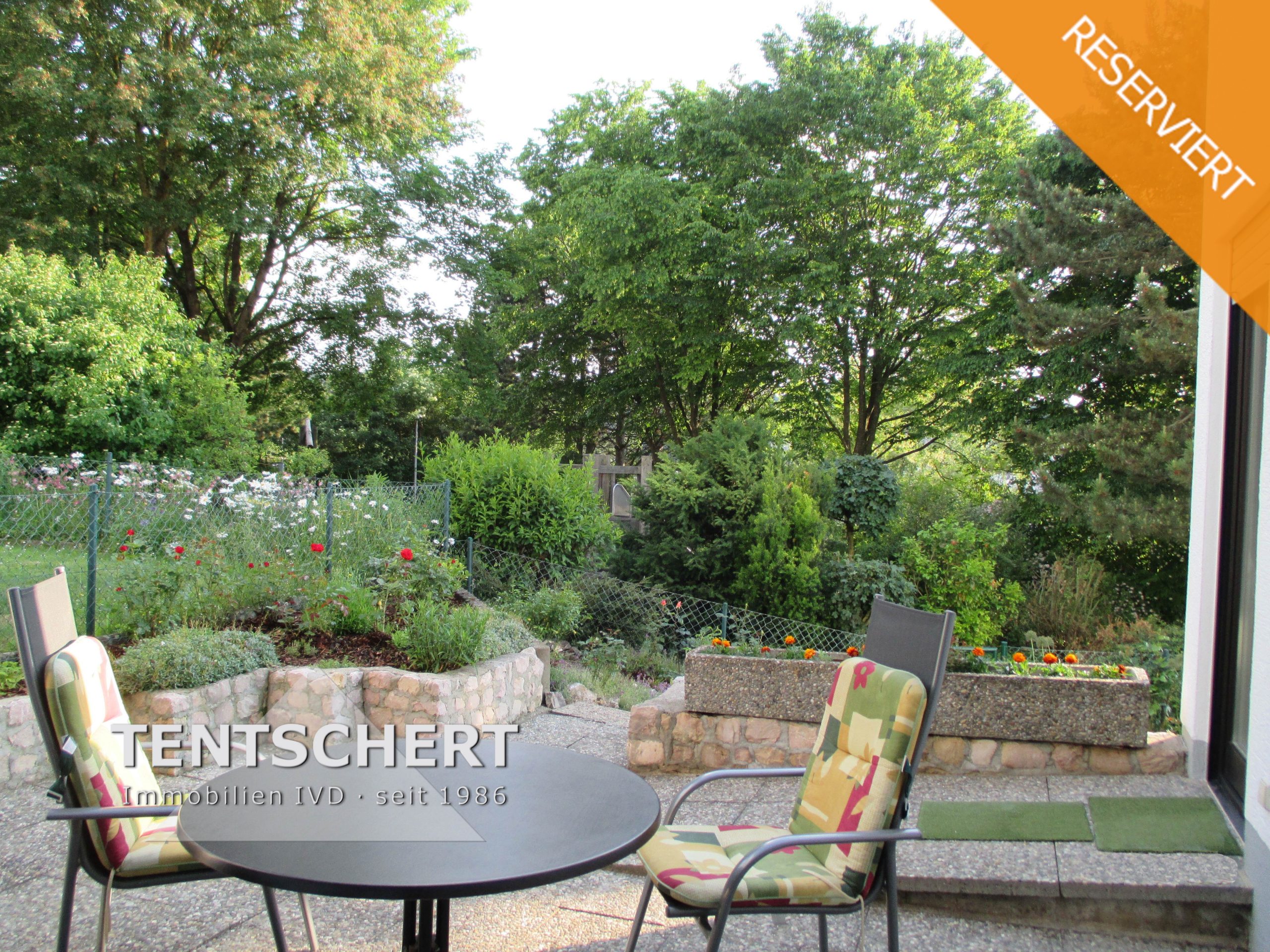 Tentschert Immobilien GmbH & Co. KG - Immobilienangebot - 89134 Blaustein - Blaustein - Reihenhaus - Kurze Wege zum Science Park / Uni Ulm