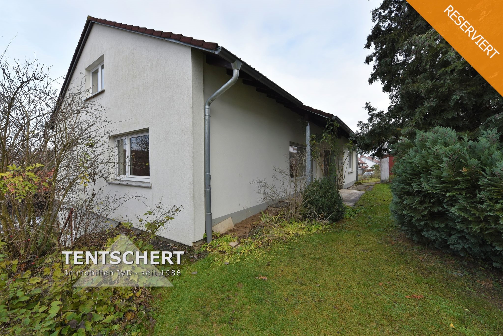 Tentschert Immobilien GmbH & Co. KG - Immobilienangebot - 89155 Erbach - Erbach - Einfamilienhaus - Für Macher & Gestalter - EFH mit Garten und Garagen - Provisionsfrei