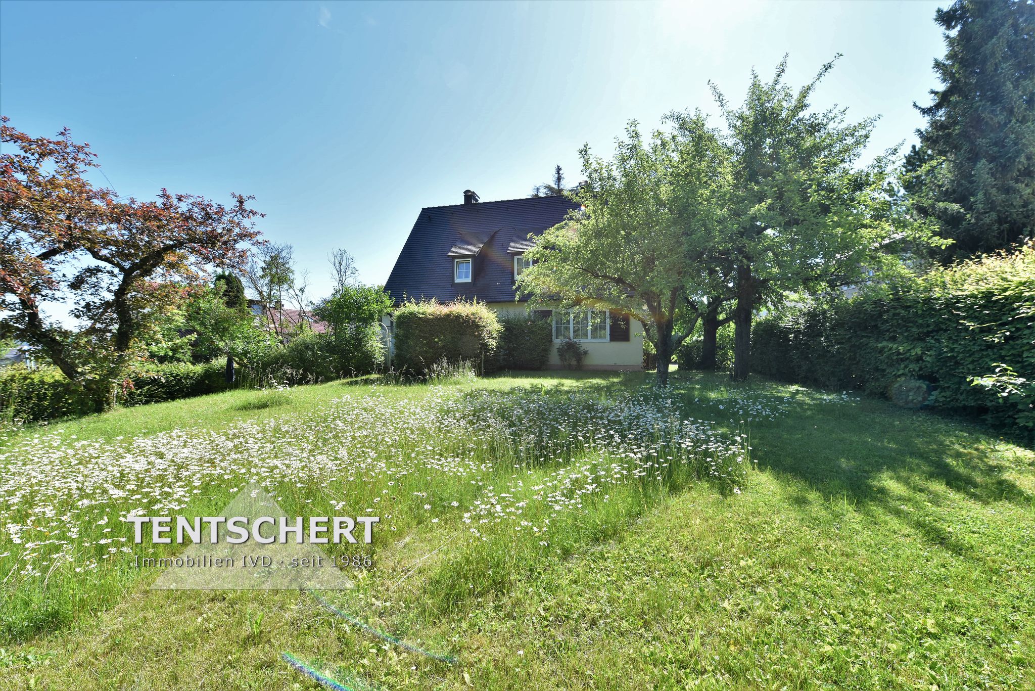 Tentschert Immobilien GmbH & Co. KG - Immobilienangebot - 89077 Ulm - Söflingen - Einfamilienhaus - Einfamilienhaus auf traumhaft schönem Grundstück - PROVISIONSFREI