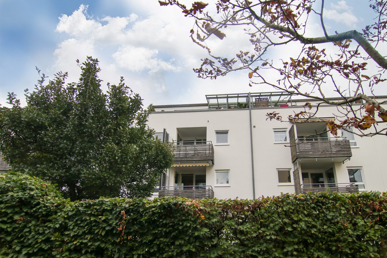 Tentschert Immobilien GmbH & Co. KG - Immobilienangebot - 89077 Ulm - Söflingen - Wohnungen - Sonnige 4-Zimmer-Wohnung in Ulm, Söflingen