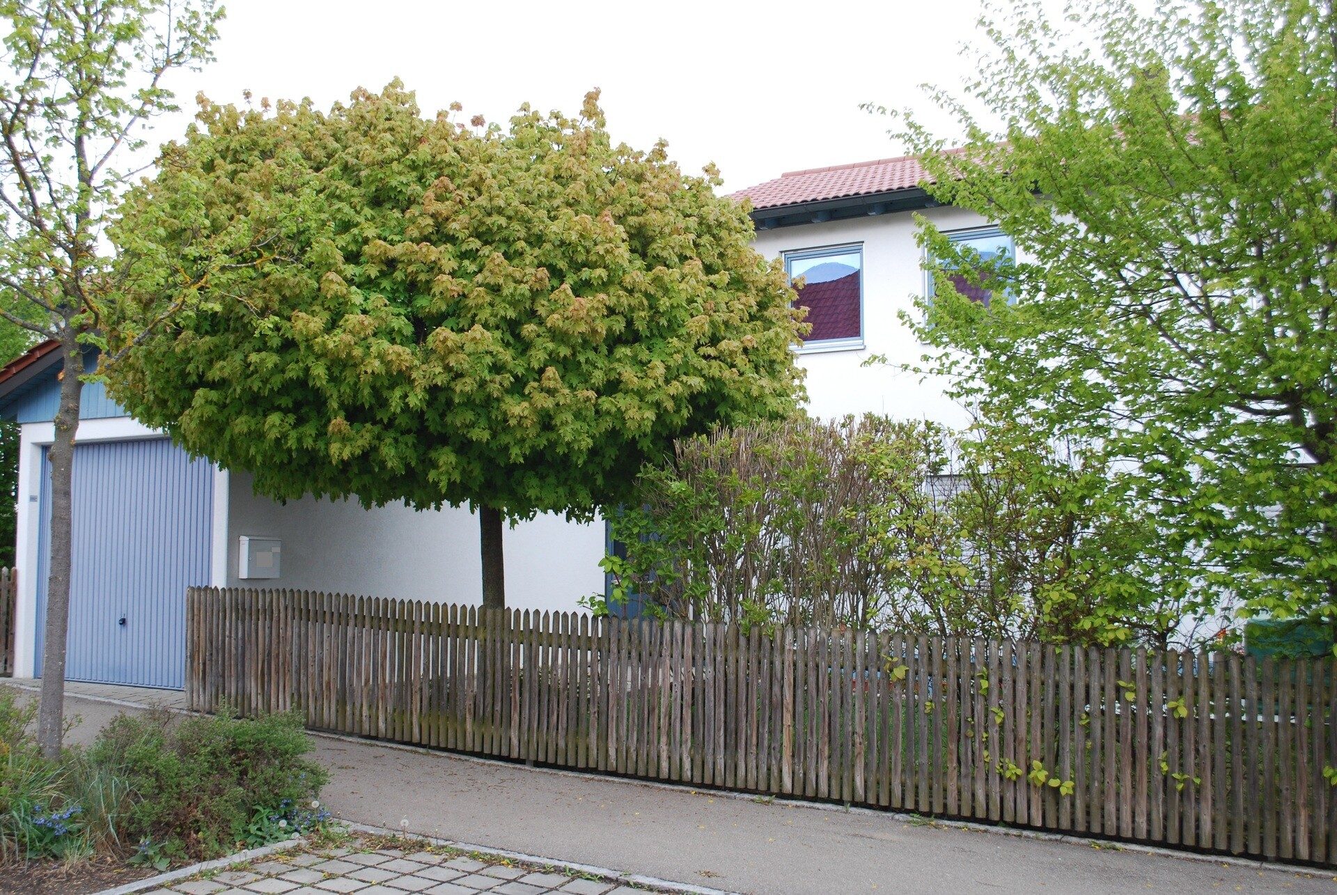 Immobilienangebot - Ulm - Alle - Wohlfühloase in familienfreundlicher Lage
