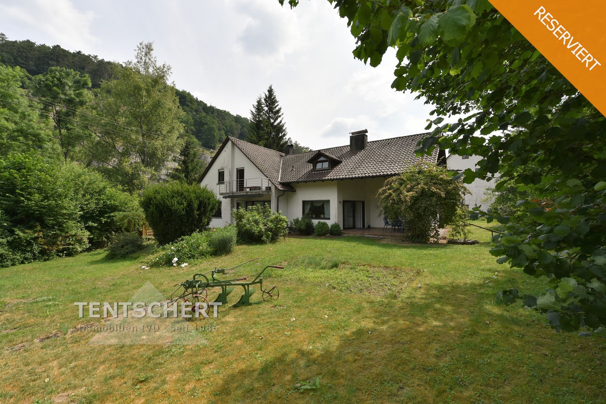 Tentschert Immobilien GmbH & Co. KG - Immobilienangebot - 89134 Blaustein - Blaustein - Einfamilienhaus mit Einliegerwohnung - Hier wohnen Sie großzügig, mitten in der Natur