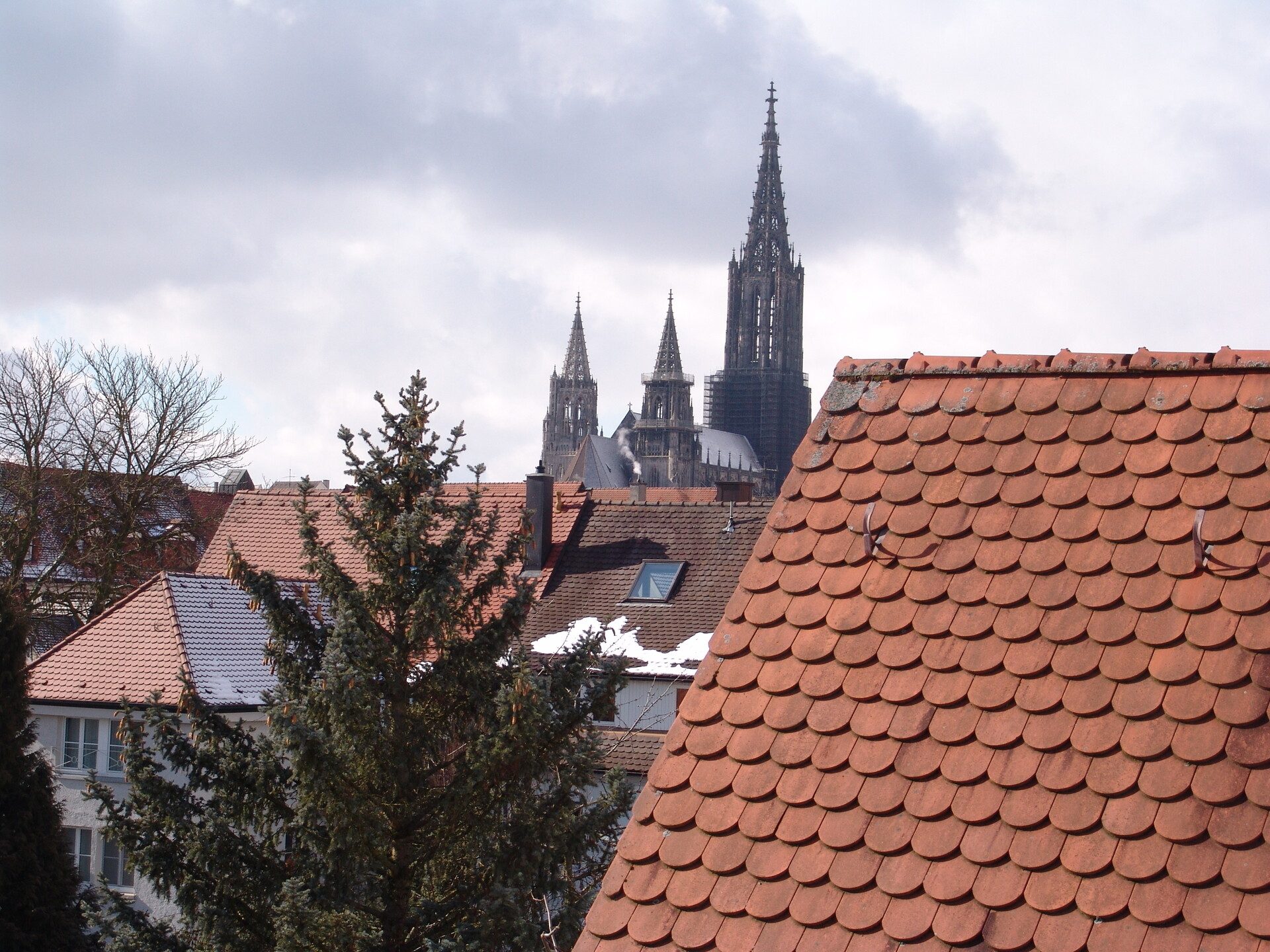 Immobilienangebot - Ulm - Alle - Stadtoase mit Münsterblick
