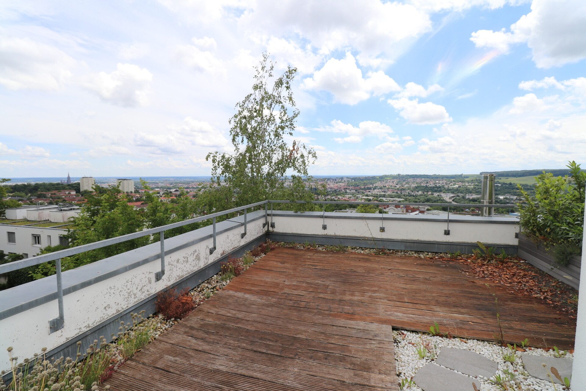 Immobilienangebot - Ulm - Alle - Modernes Reiheneckhaus mit traumhafter Dachterrasse