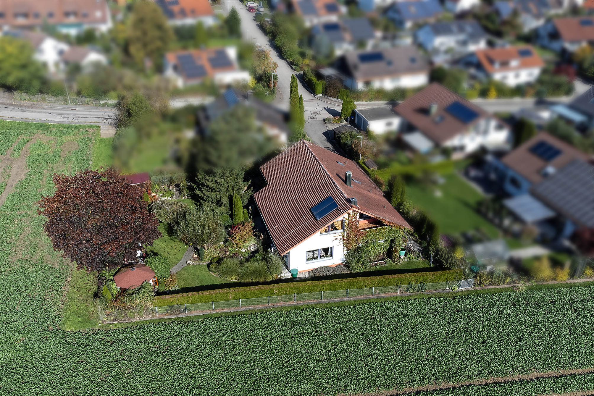 Tentschert Immobilien GmbH & Co. KG - Immobilienangebot - 89171 Illerkirchberg - Illerkirchberg - Einfamilienhaus - - Ihre kleine Wohlfühloase - EFH in besonderer Ortsrandlage in Unterkirchberg