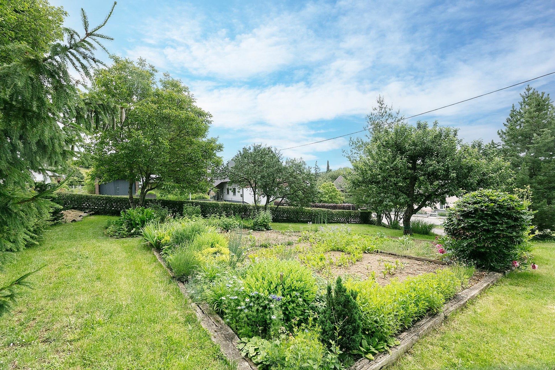 Immobilienangebot - Westerstetten - Alle - Ganz nach Ihren Wünschen zu gestalten  - Grundstück in Westerstetten