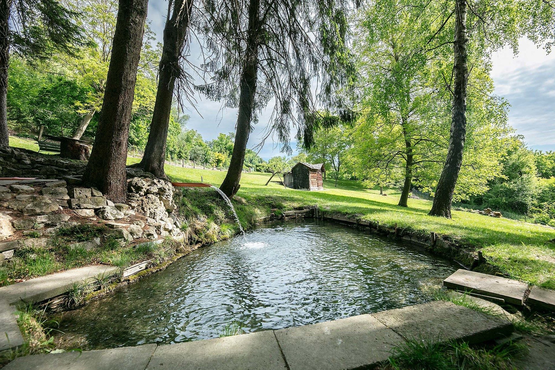 Immobilienangebot - Ulm - Alle - Freizeitgrundstück im Grünen mit idyllischem Bachlauf