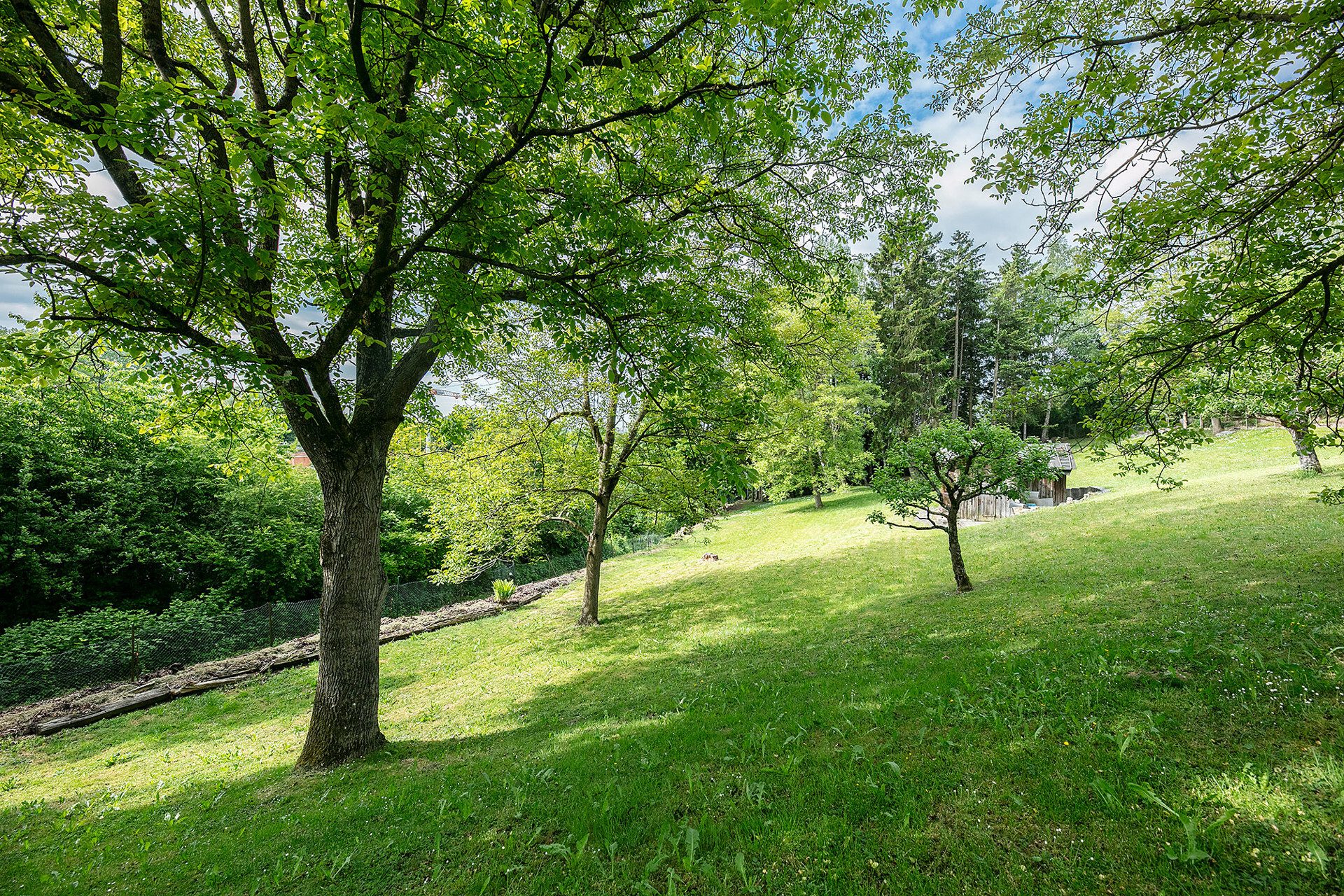 Immobilienangebot - Ulm - Alle - Freizeitgrundstück im Grünen mit idyllischem Bachlauf
