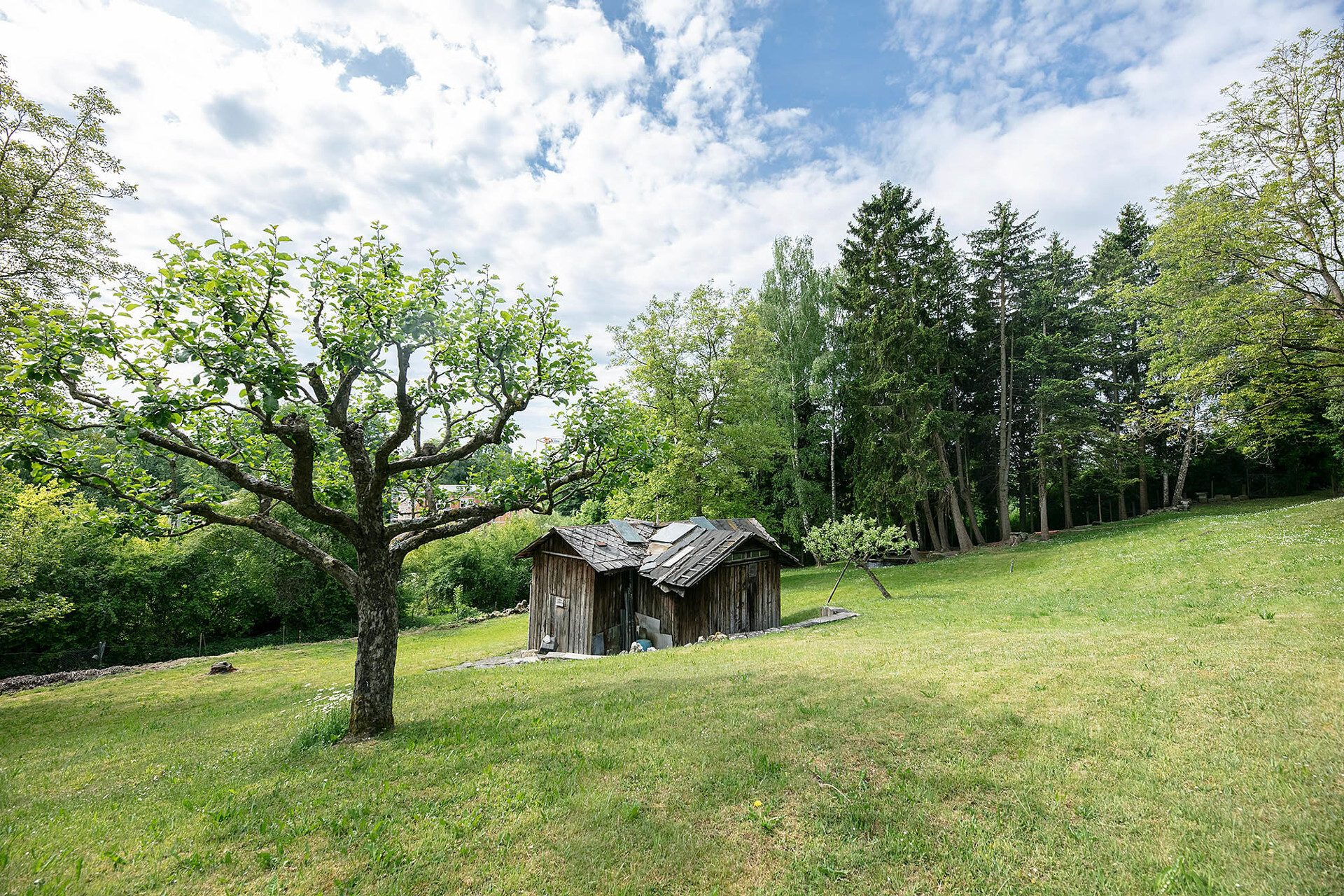 Immobilienangebot - Ulm - Alle - Freizeitgrundstück im Grünen mit idyllischem Bachlauf