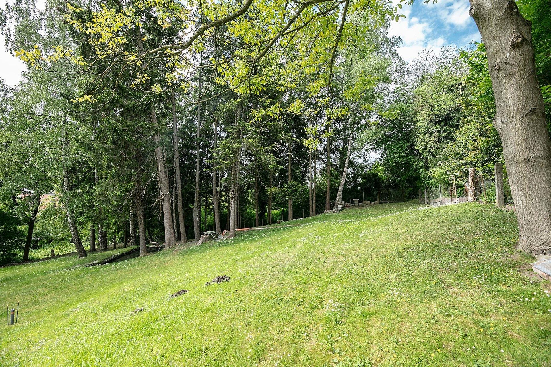 Immobilienangebot - Ulm - Alle - Freizeitgrundstück im Grünen mit idyllischem Bachlauf