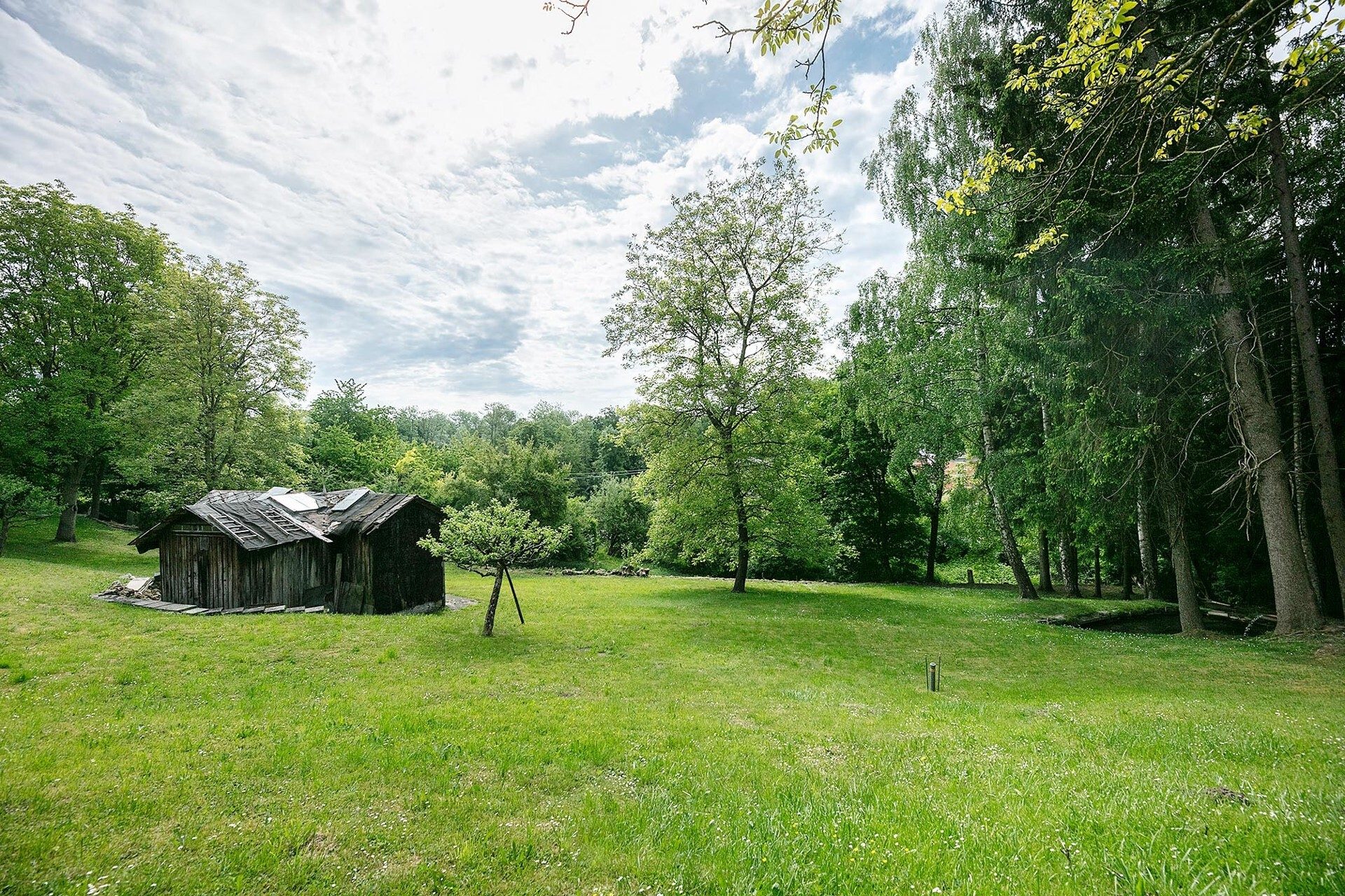 Immobilienangebot - Ulm - Alle - Freizeitgrundstück im Grünen mit idyllischem Bachlauf