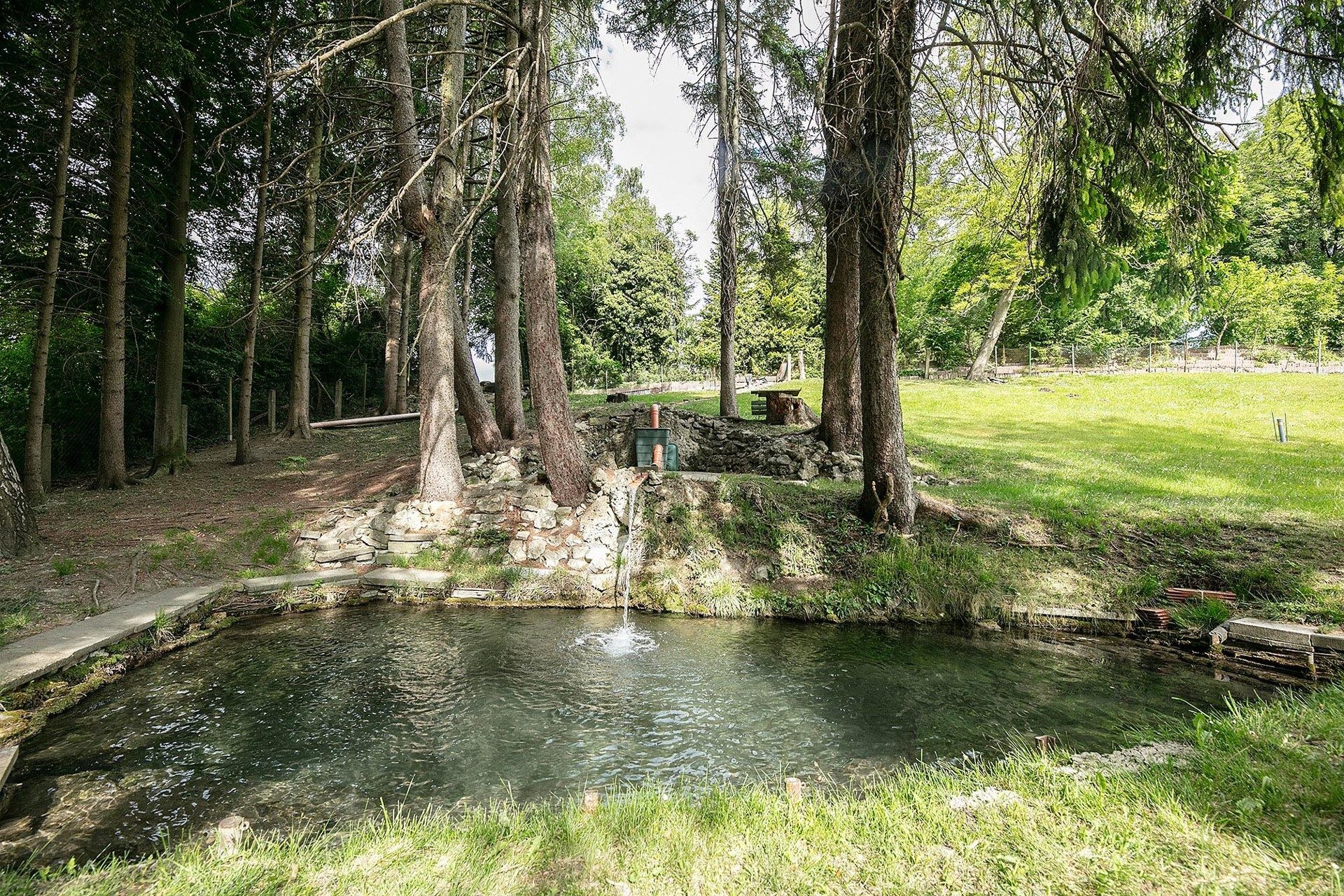 Immobilienangebot - Ulm - Alle - Freizeitgrundstück im Grünen mit idyllischem Bachlauf