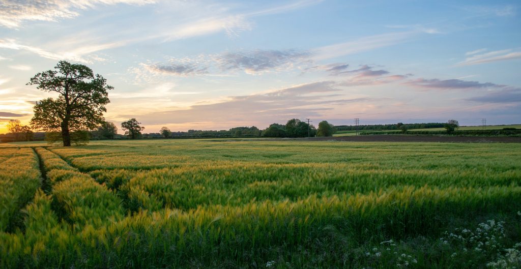 Immobilienpreise_Bibertal_Tentschert Immobilien Ulm
