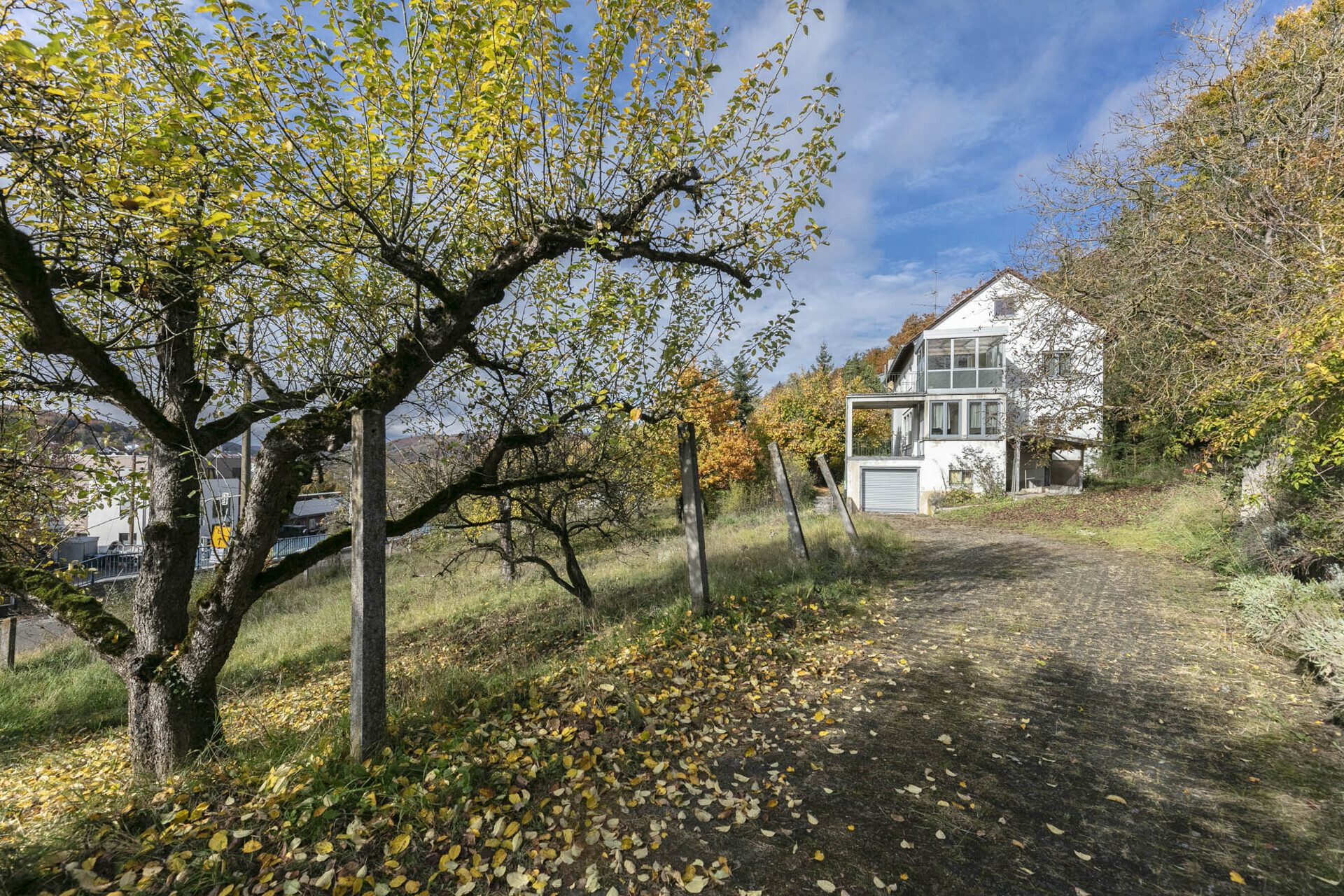 Immobilienangebot - Blaustein / Herrlingen - Alle - Schmuckstück mit viel Platz und großem Grundstück