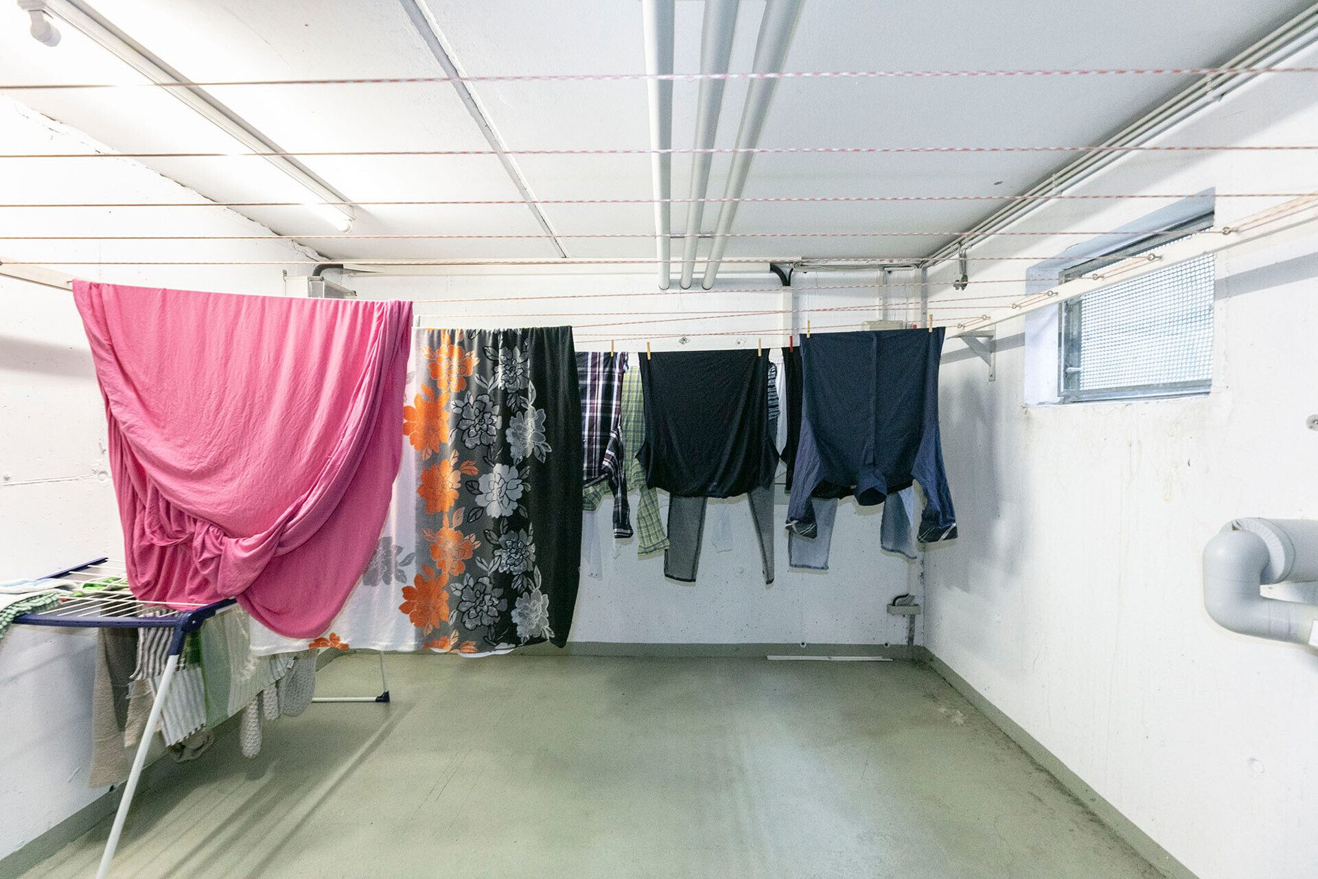 Immobilienangebot - Blaustein/Herrlingen - Alle - Dachgeschosswohnung mit Charme - einziehen und wohlfühlen