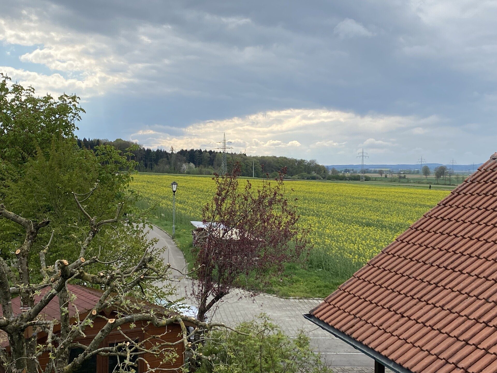 Immobilienangebot - Illerkirchberg / Unterkirchberg - Alle - Die Natur als Nachbar – Ideal für eine Person