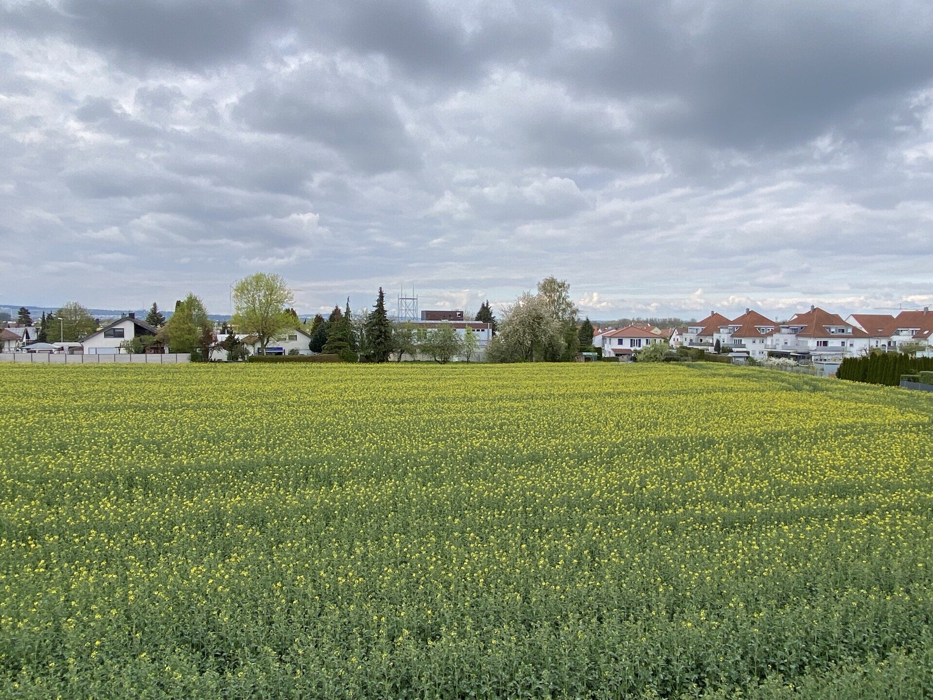 Immobilienangebot - Illerkirchberg / Unterkirchberg - Alle - Liebenswert, lebenswert – Ideal für eine Person