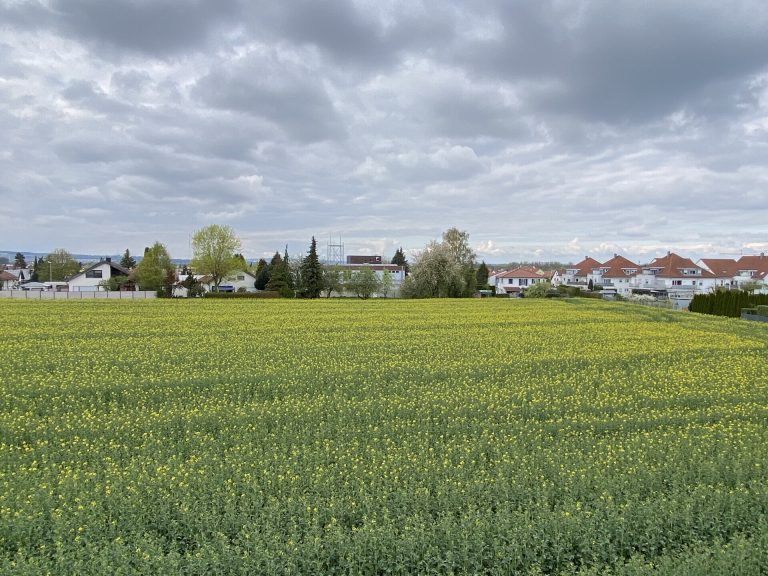 Immobilienangebot - Illerkirchberg / Unterkirchberg - Alle - Die Natur als Nachbar – Ideal für eine Person