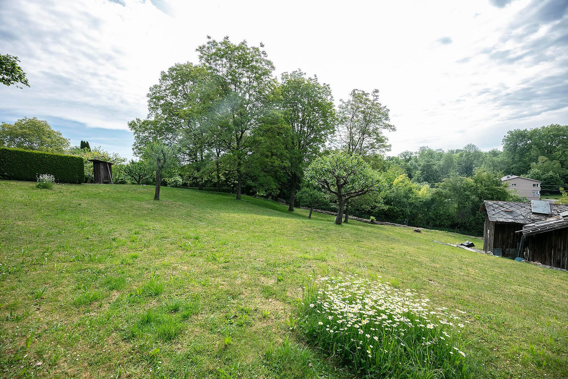 Immobilienangebot - Ulm - Alle - Freizeitgrundstück in idyllischer Grünlage mit Bachlauf